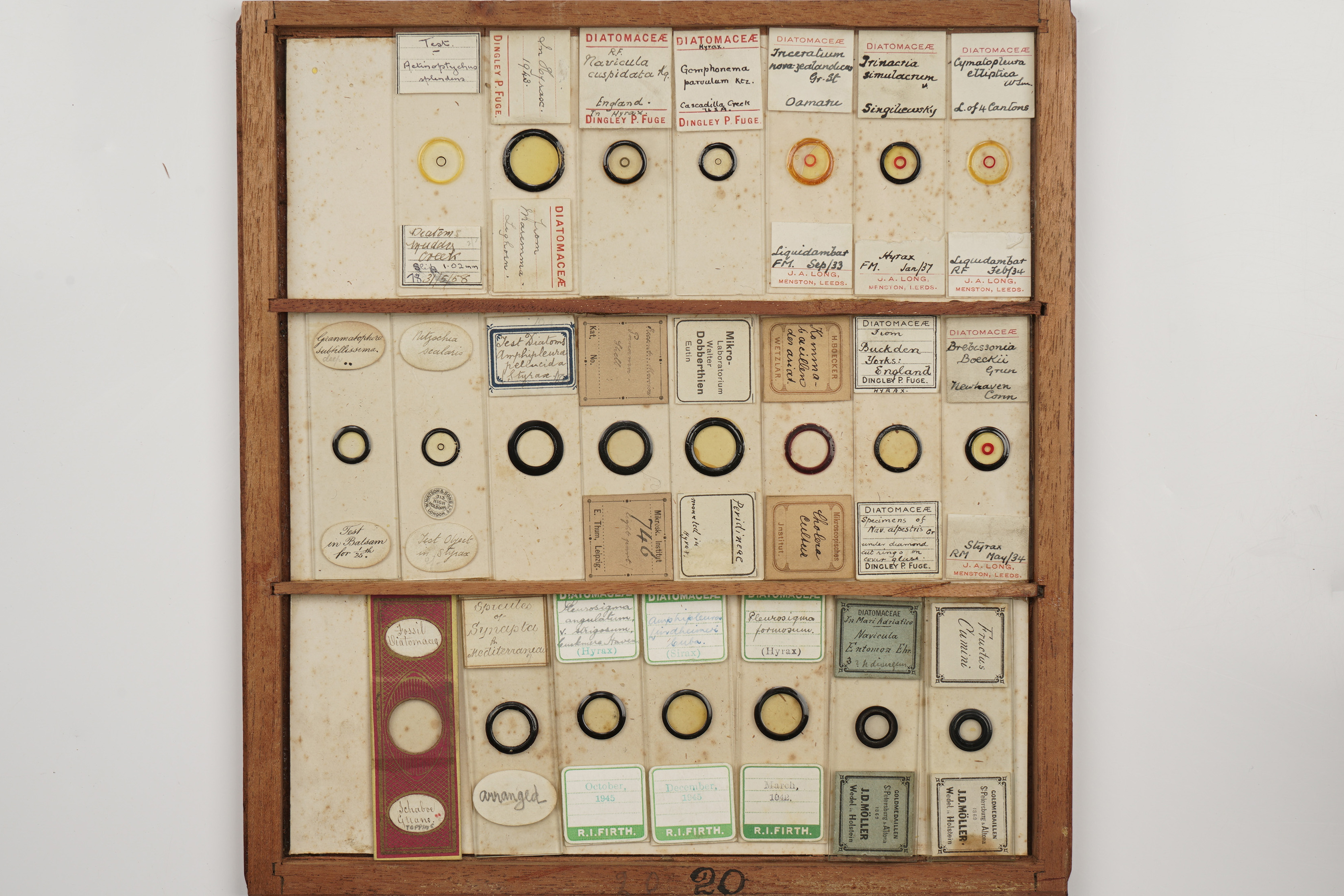 A Large Cabinet of Microscope Slides, - Image 17 of 18