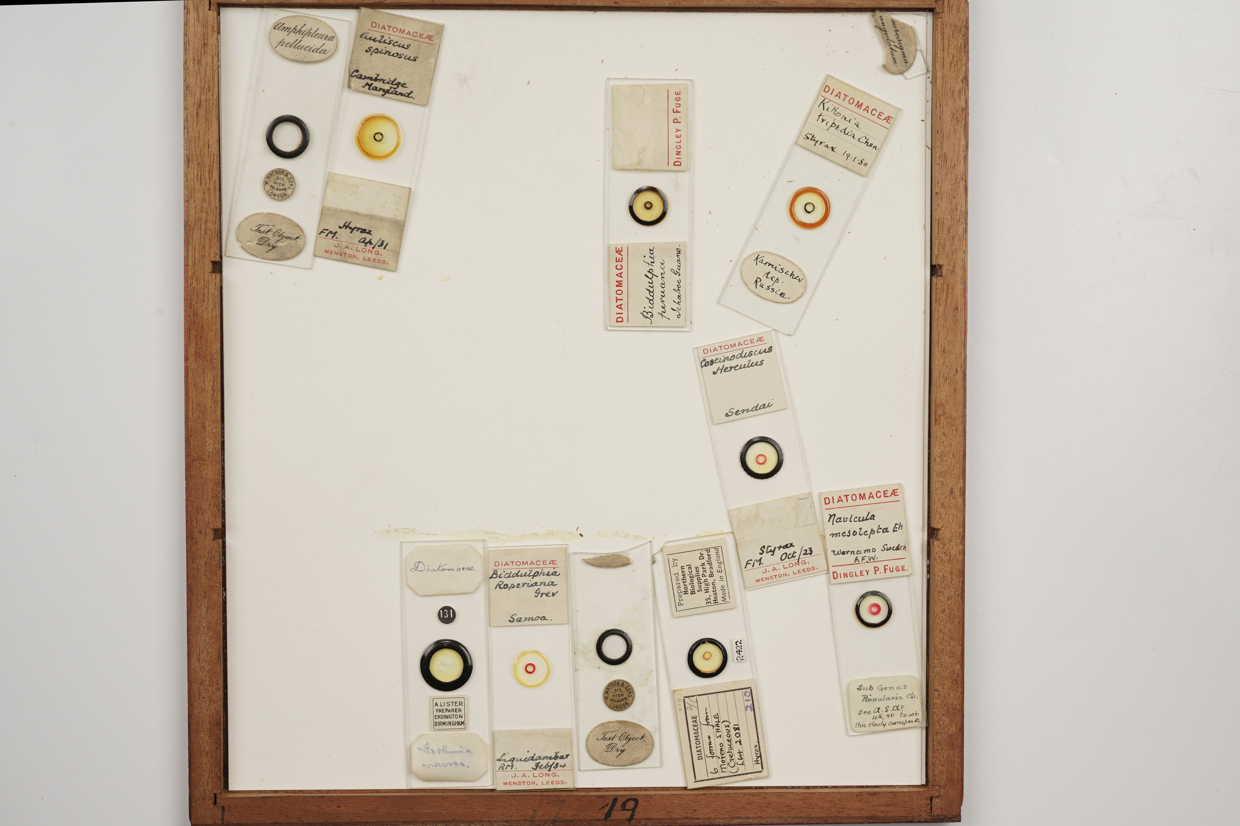 A Large Cabinet of Microscope Slides, - Image 16 of 18