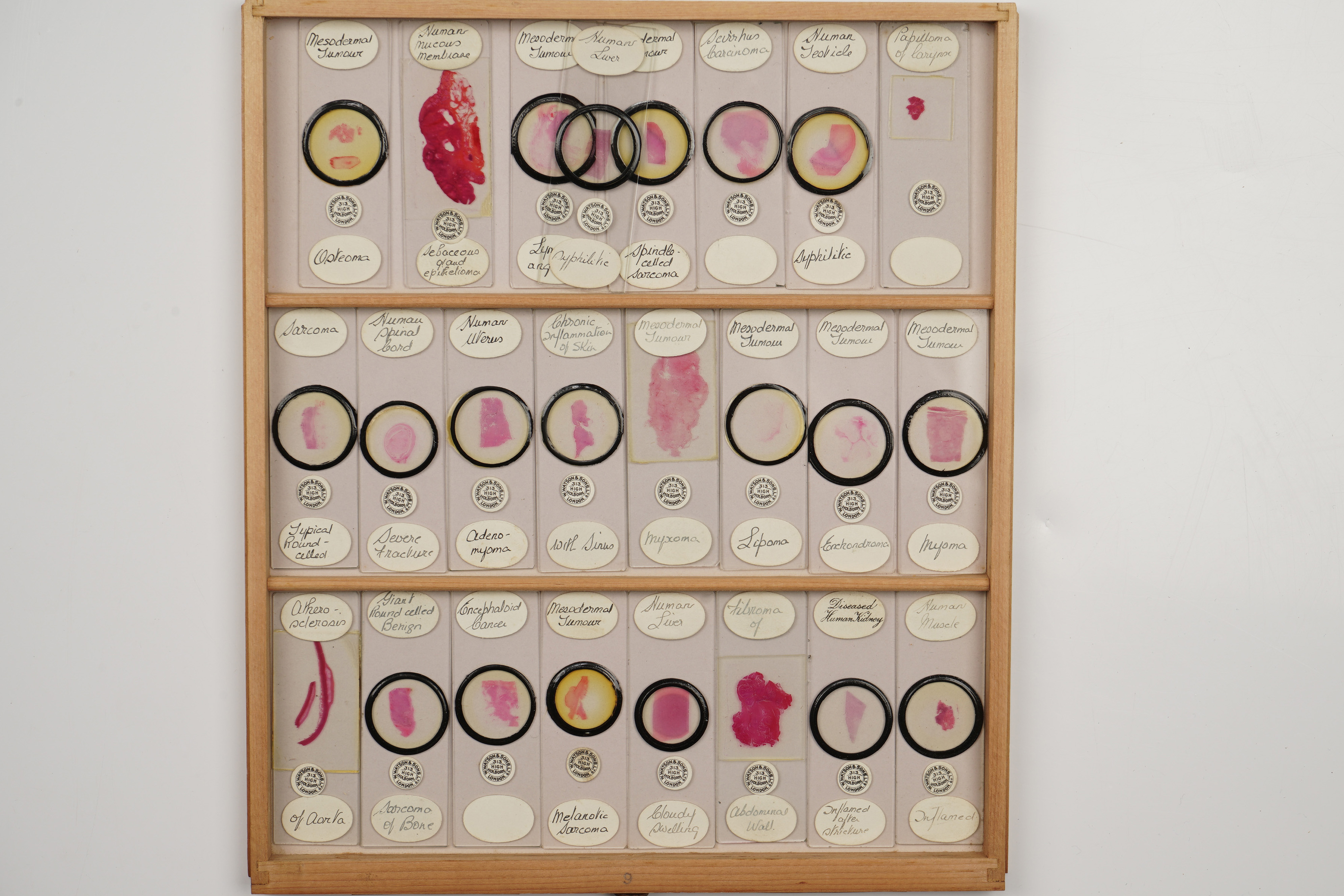 A Large Polished Pine Cabinet of Microscope Slides, - Image 12 of 19