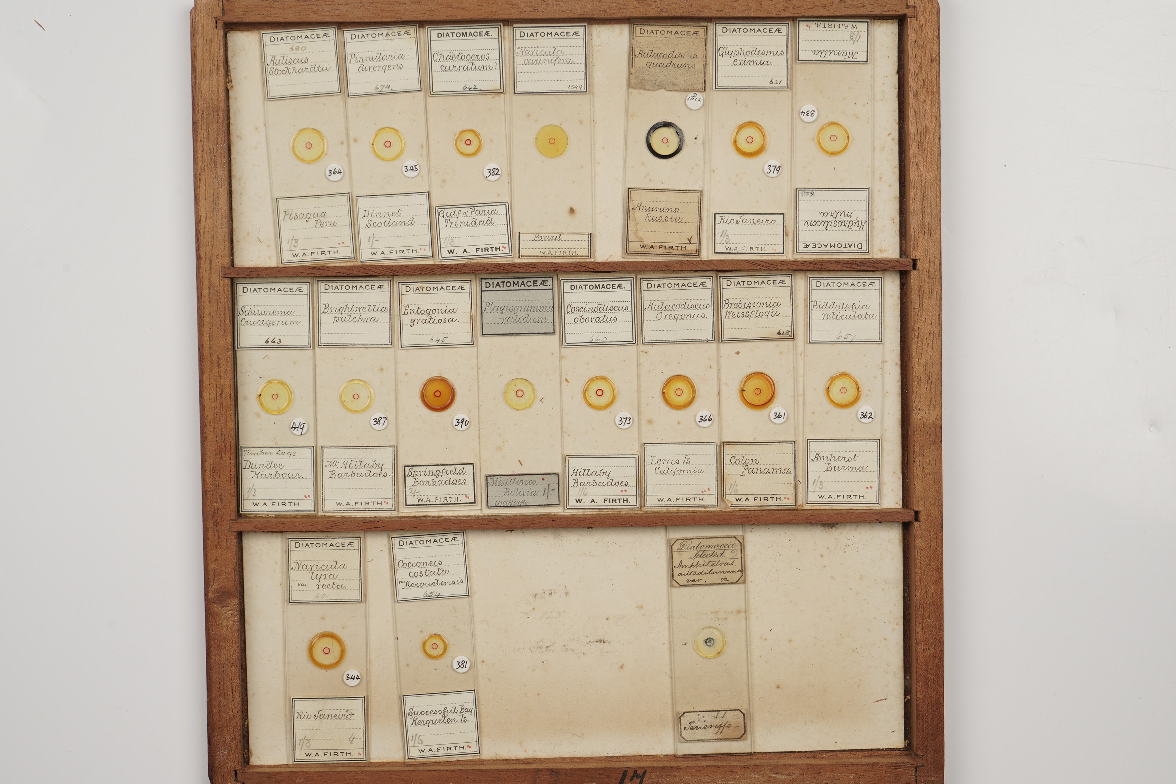 A Large Cabinet of Microscope Slides, - Image 14 of 18