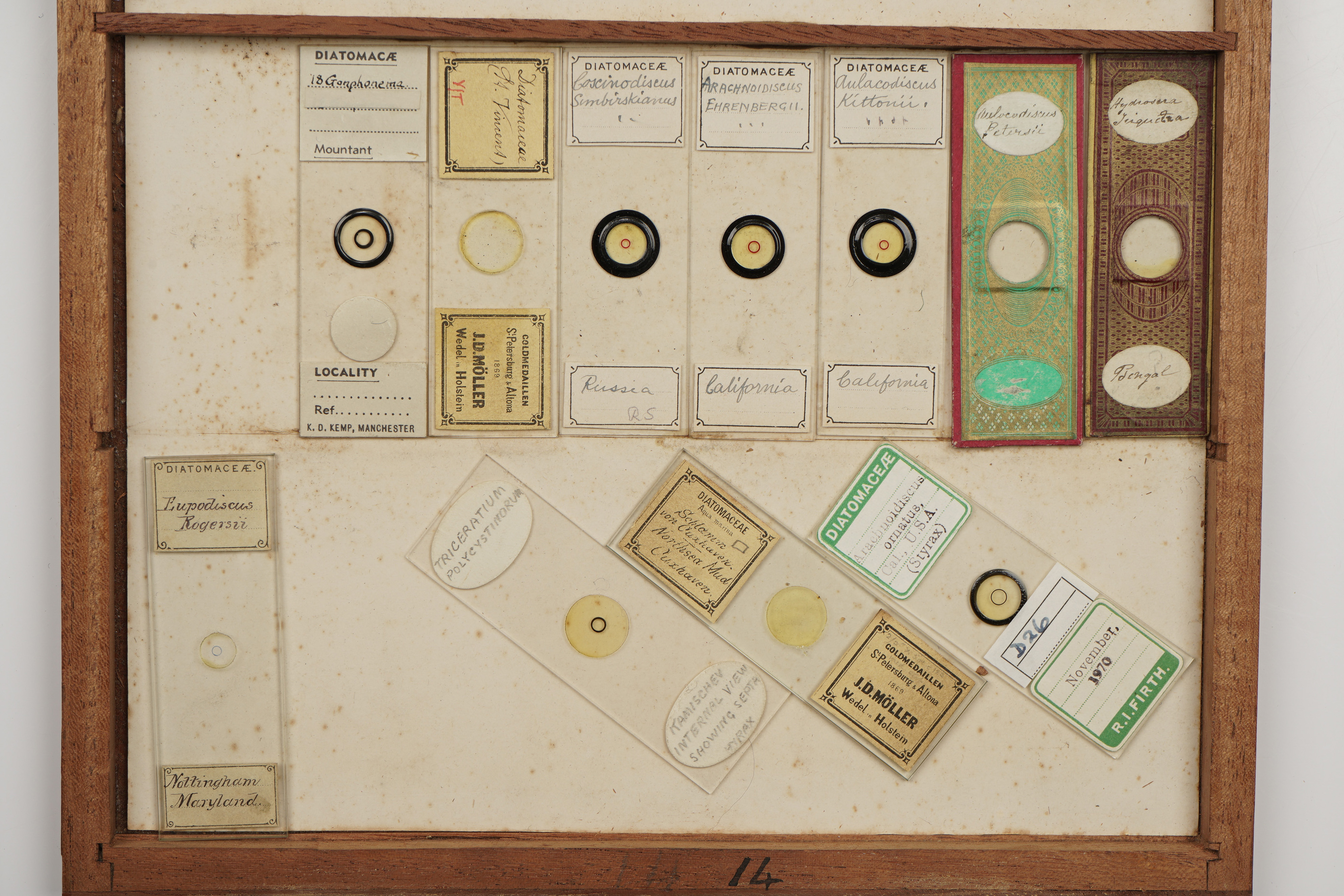 A Large Cabinet of Microscope Slides, - Image 11 of 18