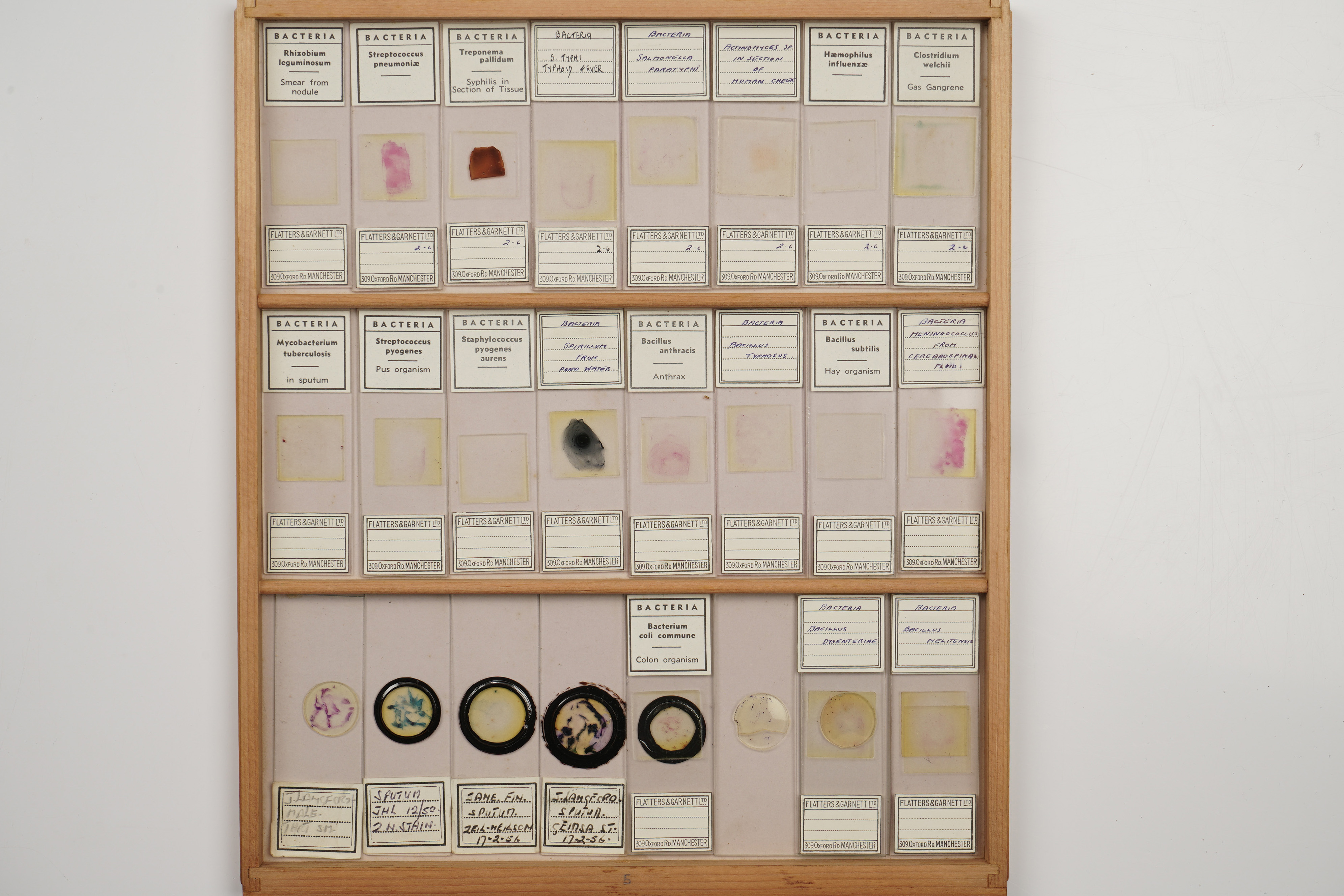 A Large Polished Pine Cabinet of Microscope Slides, - Image 17 of 19