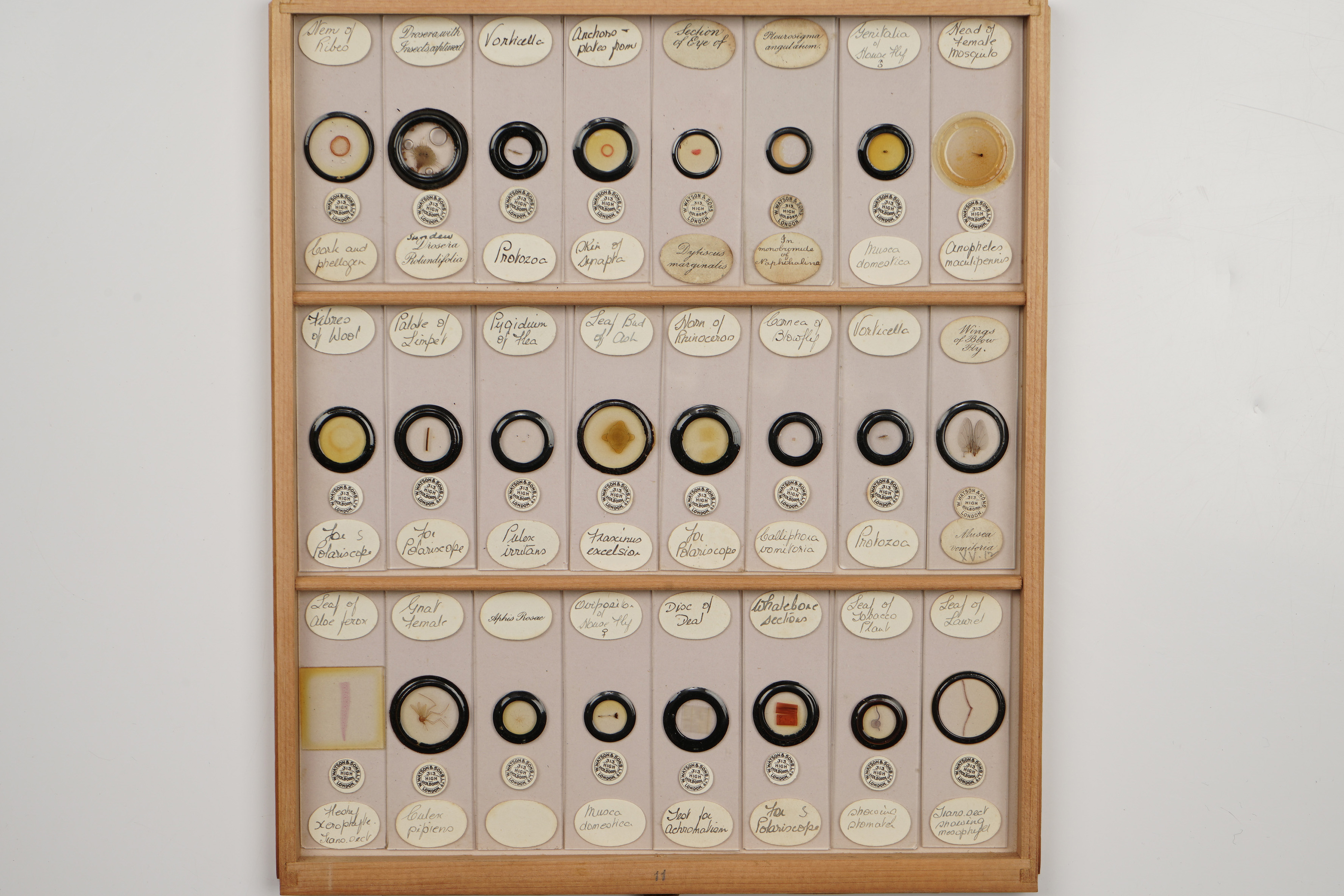 A Large Polished Pine Cabinet of Microscope Slides, - Image 11 of 19