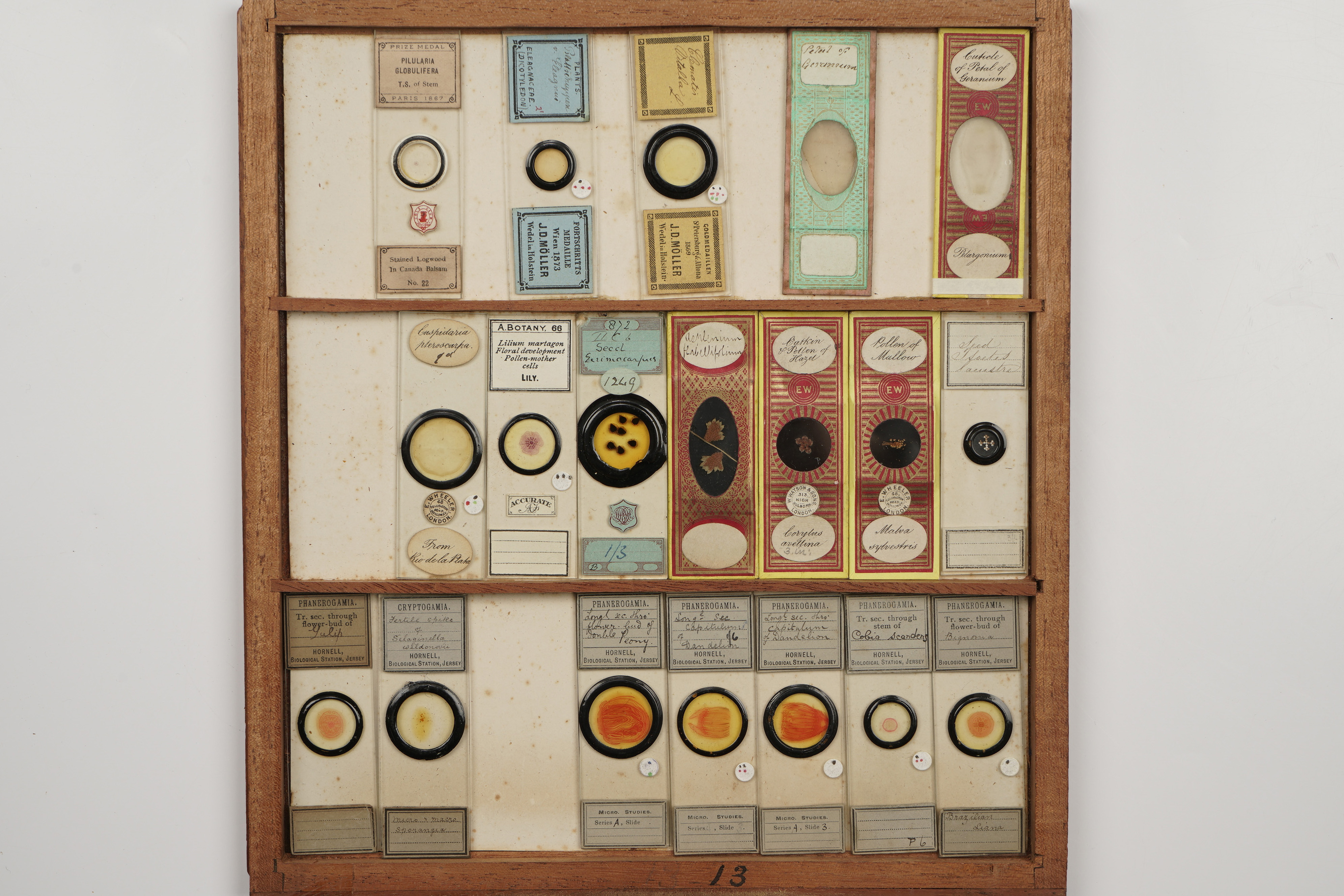 A Large Cabinet of Microscope Slides, - Image 10 of 18