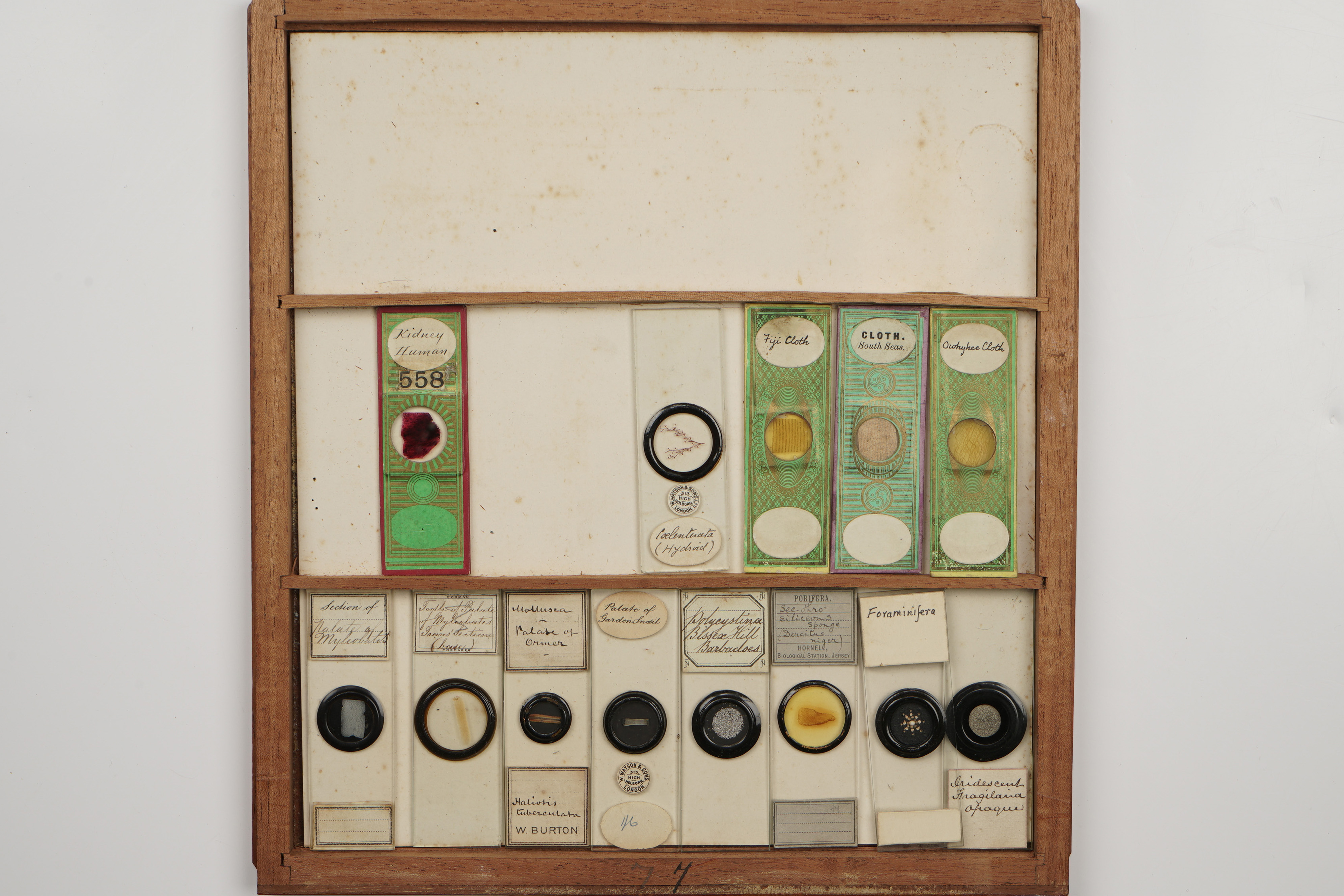 A Large Cabinet of Microscope Slides, - Image 6 of 18