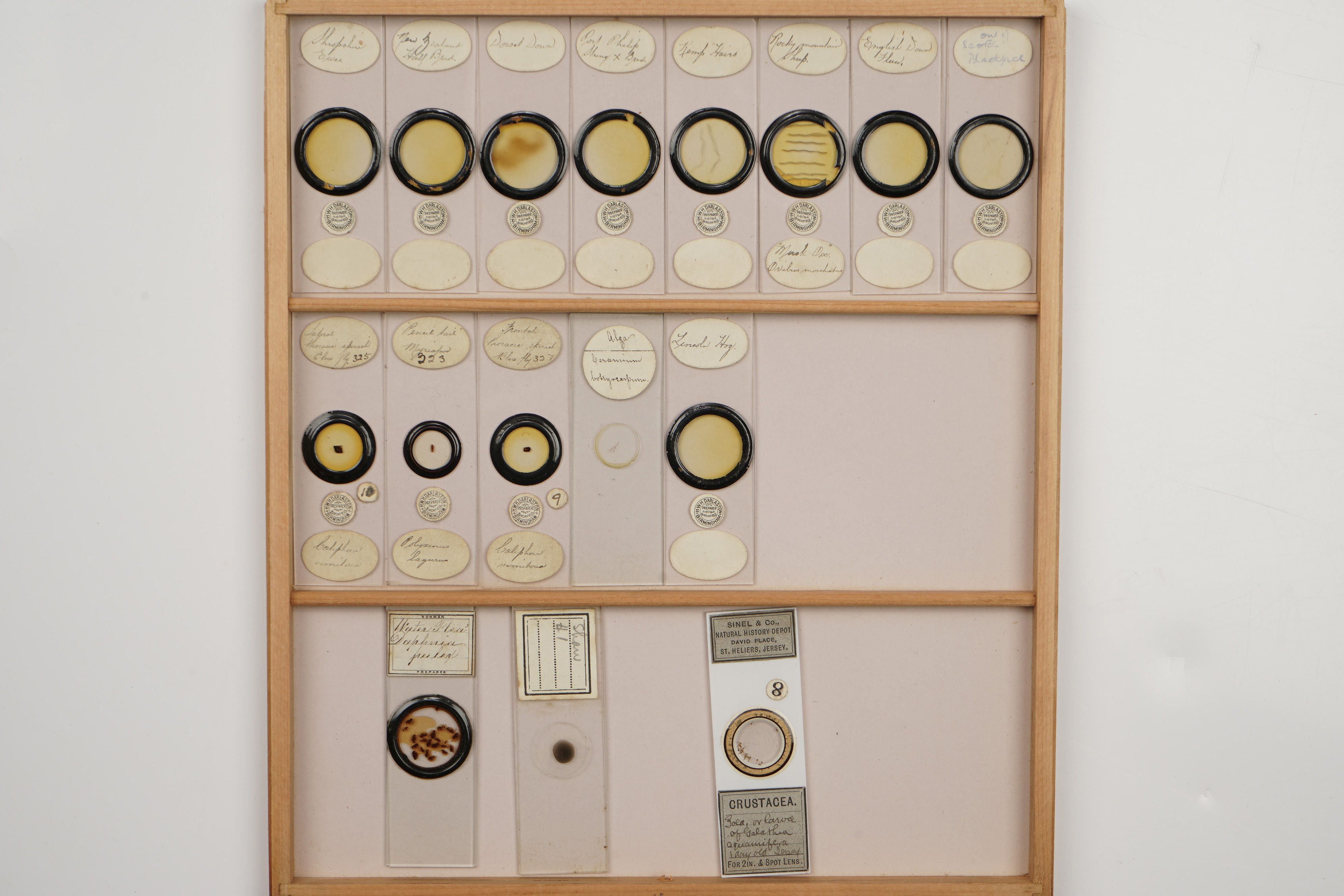 A Large Polished Pine Cabinet of Microscope Slides, - Image 6 of 19