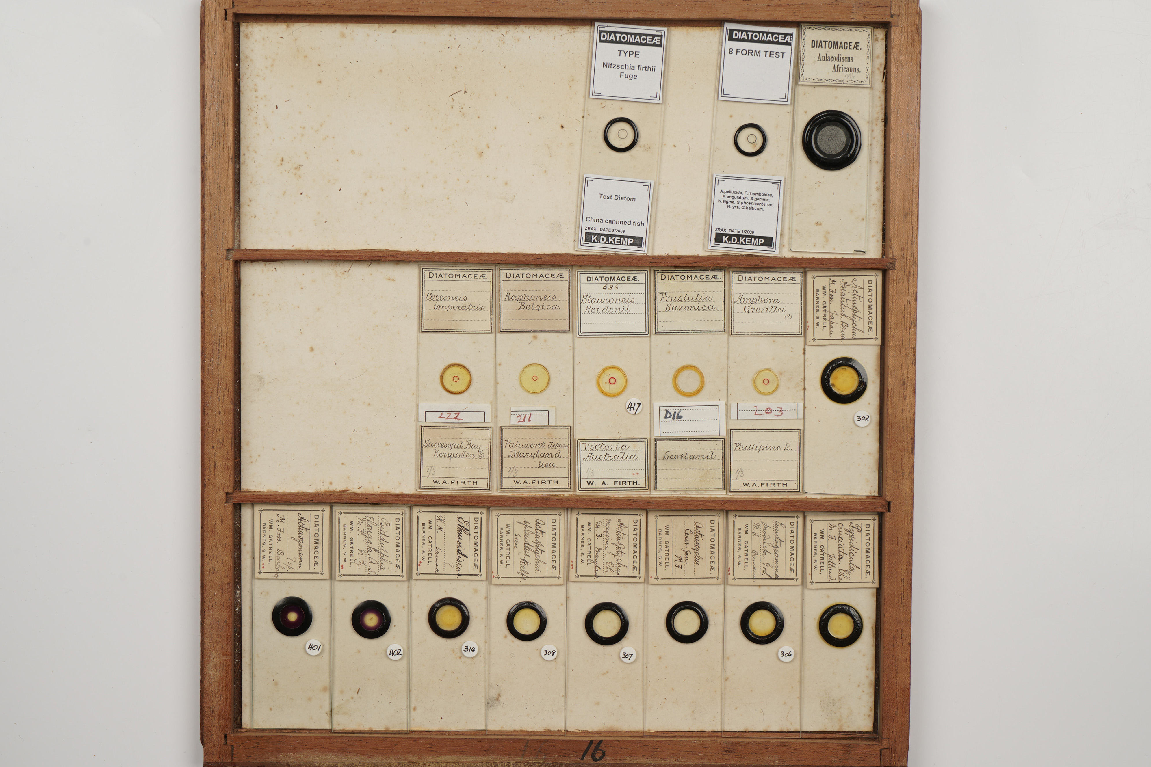 A Large Cabinet of Microscope Slides, - Image 13 of 18