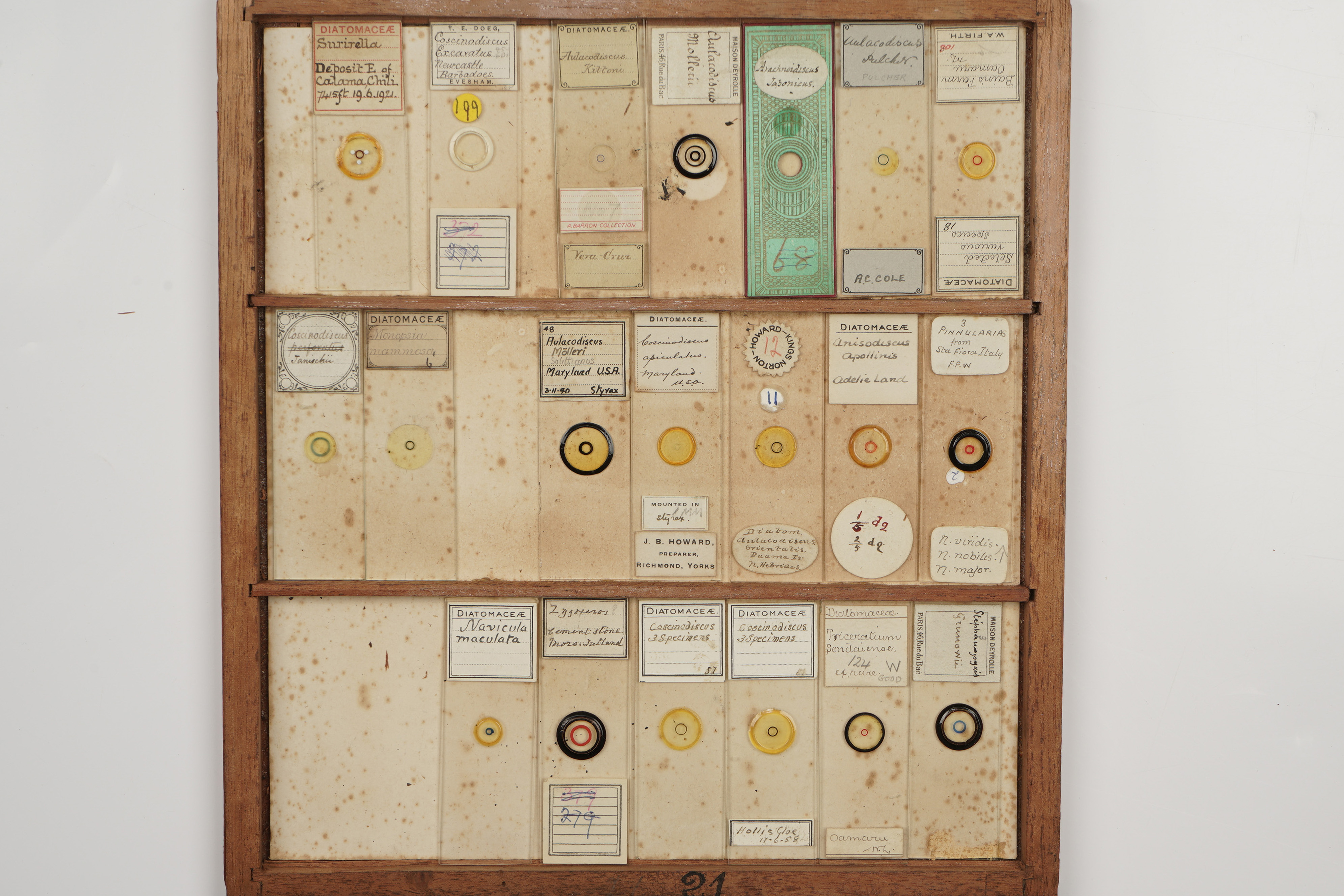 A Large Cabinet of Microscope Slides, - Image 18 of 18