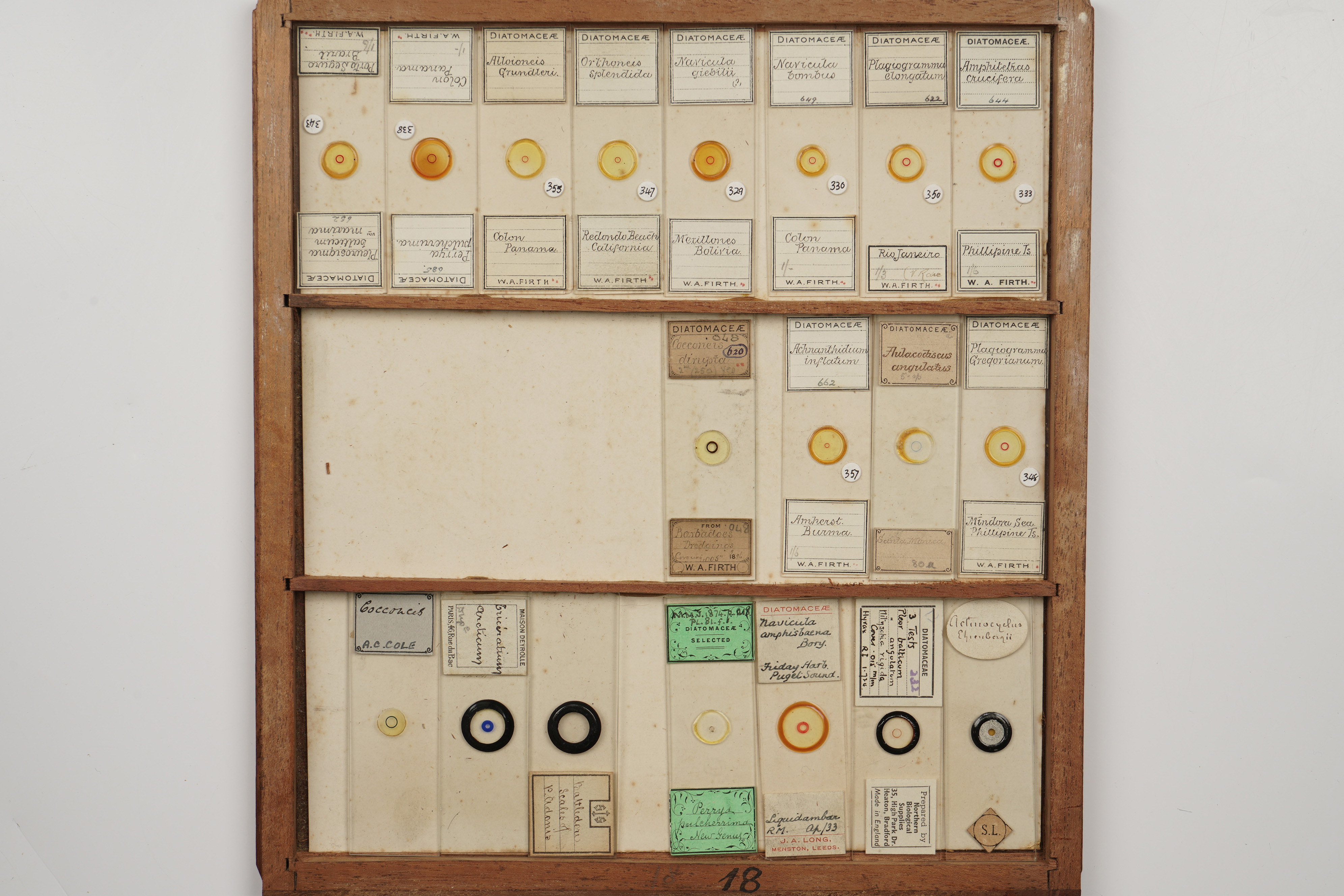 A Large Cabinet of Microscope Slides, - Image 15 of 18