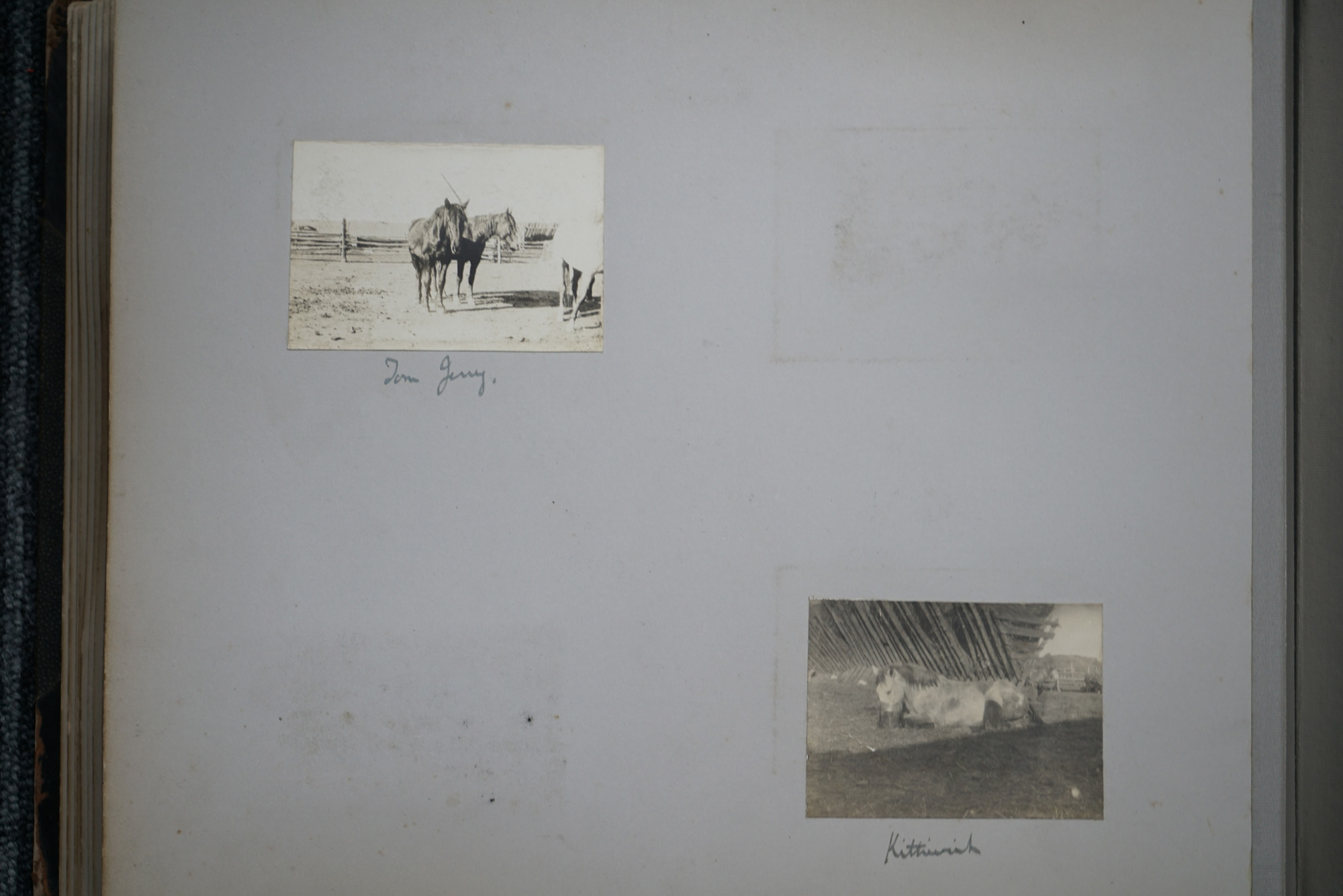 W A WHITE, Late 19th Century Album of Photographs Colorado & New Mexico, - Image 35 of 47