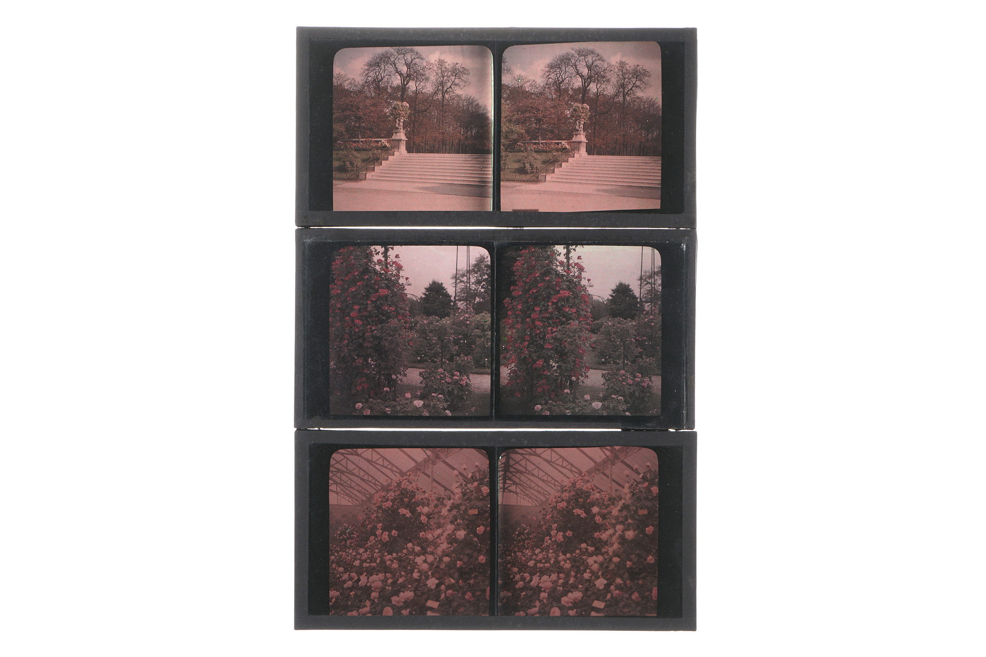 A Collection of Seven Stereo Autochromes,