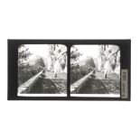 A Collection of 20 Glass Stereoviews,