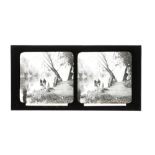 A Collection of 17 Glass Stereoviews & A Collection of Stereo Negatives,