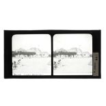 A Collection of 20 Glass Stereoviews,