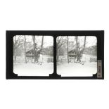 A Collection of 20 Glass Stereoviews,