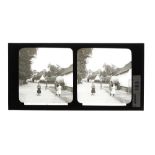 A Collection of 20 Glass Stereoviews,