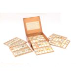 A Collection of 114 Microscope Slides,