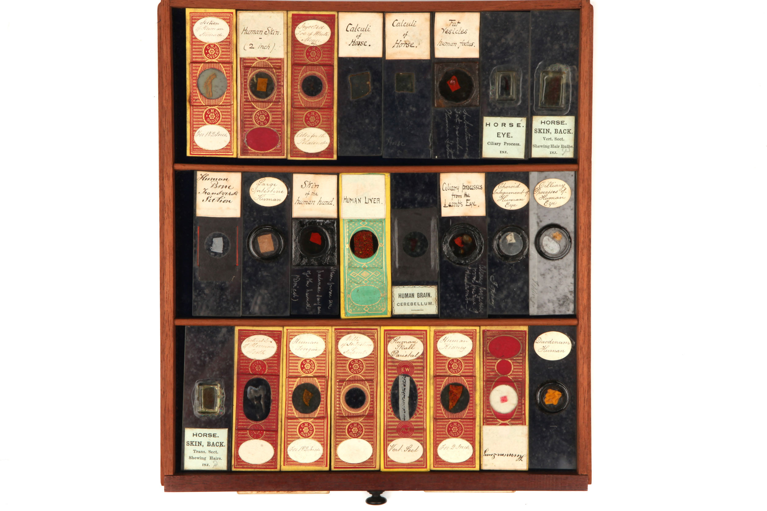 Large Cabinet of Microscope slides, - Image 11 of 12