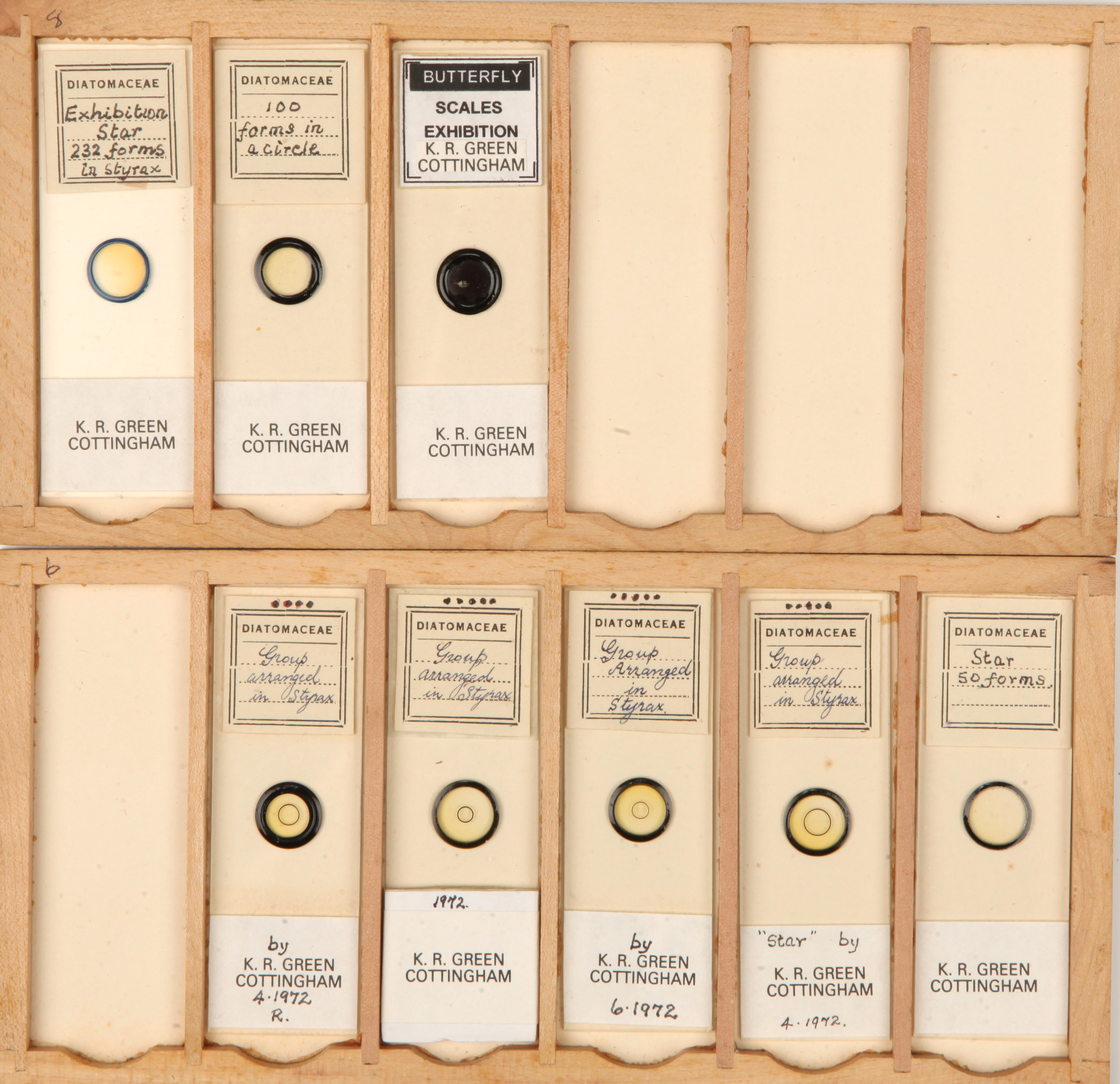 A Very Good Collection of Arranged and Exhibition Diatom Microscope Slides, - Image 4 of 7