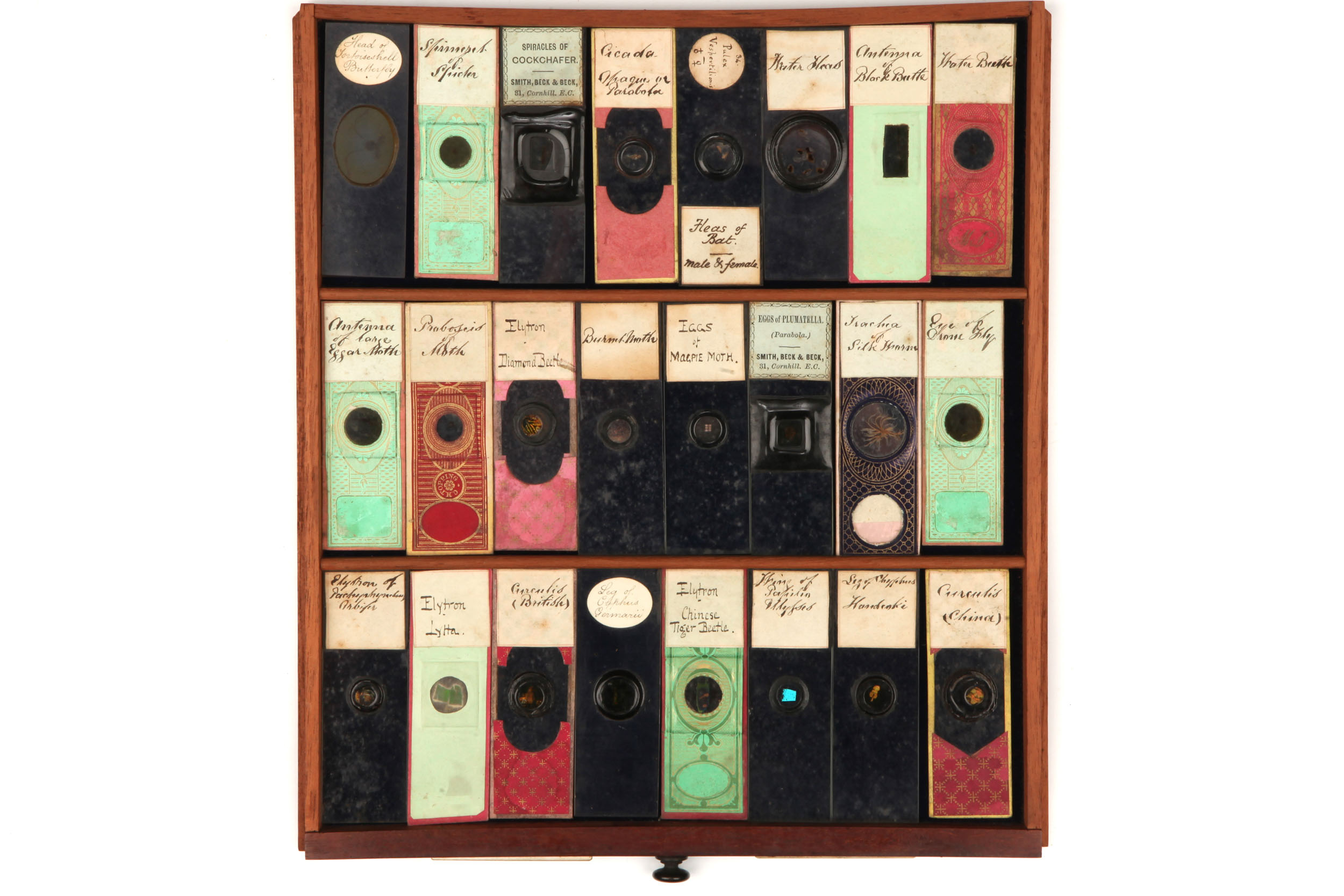 Large Cabinet of Microscope slides, - Image 7 of 12