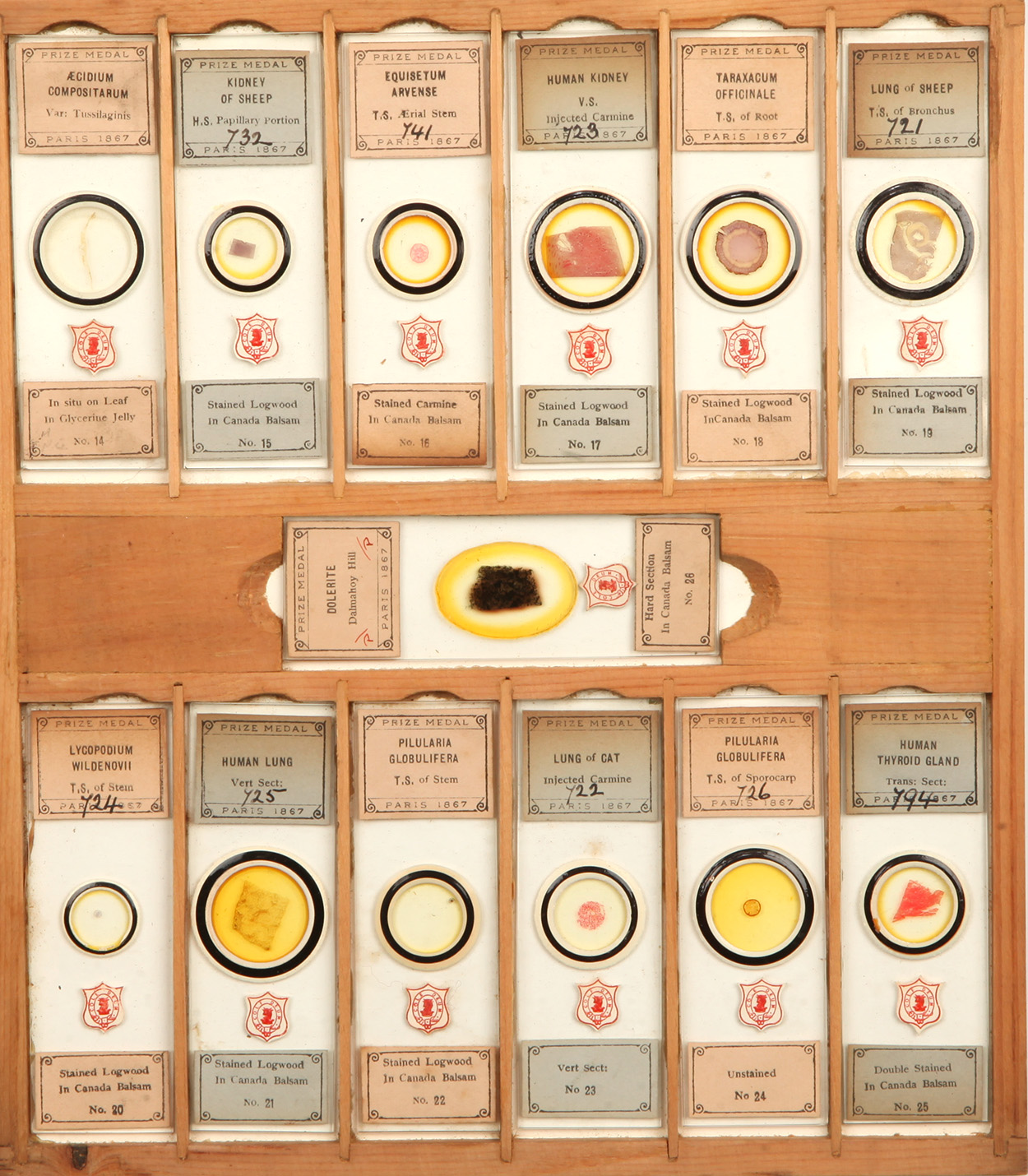 A Complete Numbered Set of Cole Microscope Slides, - Image 4 of 5