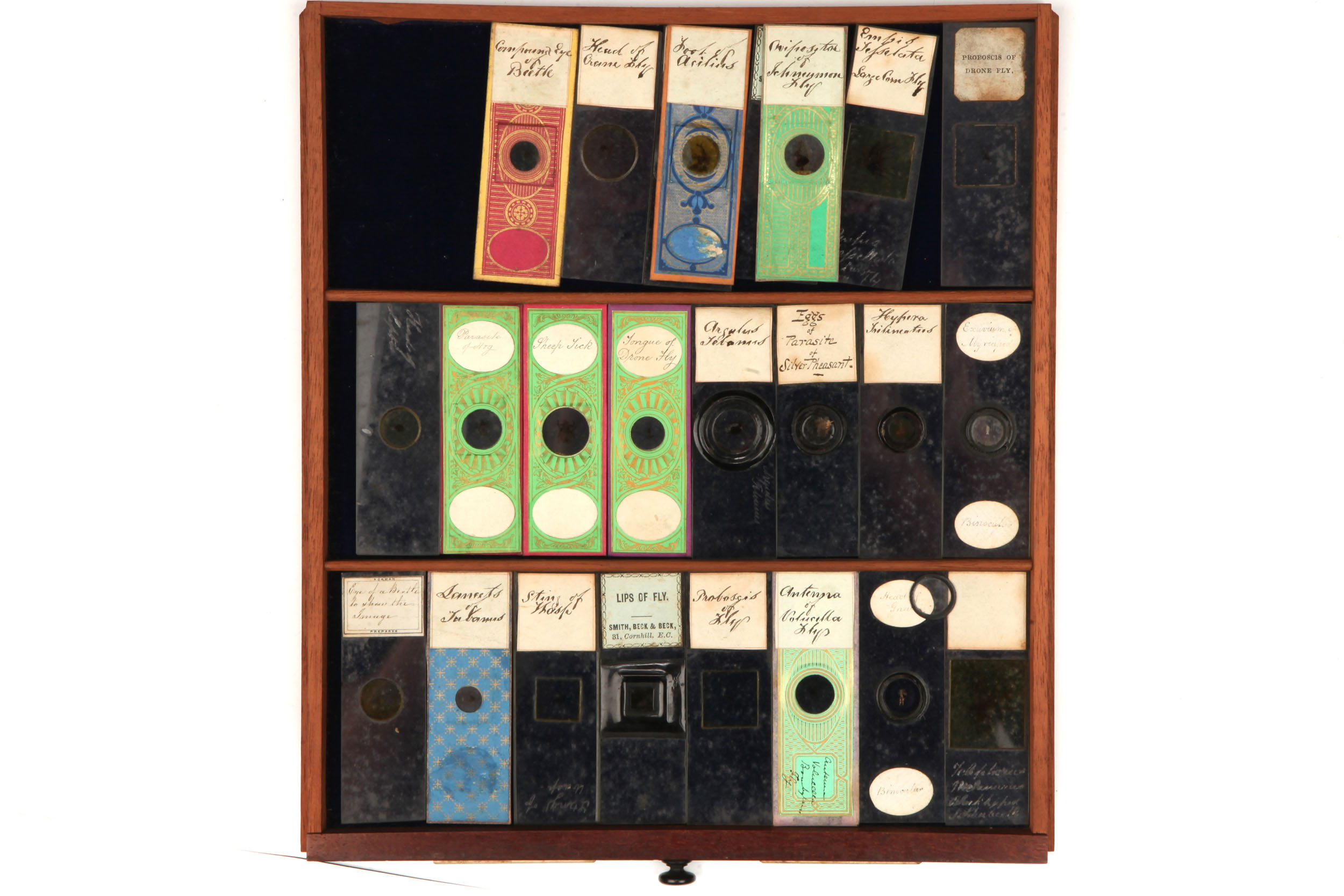 Large Cabinet of Microscope slides, - Image 8 of 12