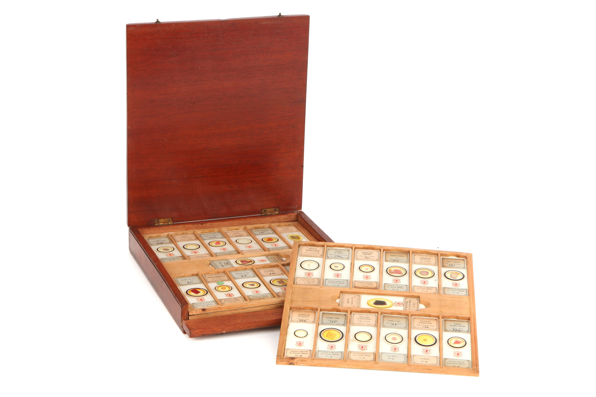 A Complete Numbered Set of Cole Microscope Slides, - Image 2 of 5