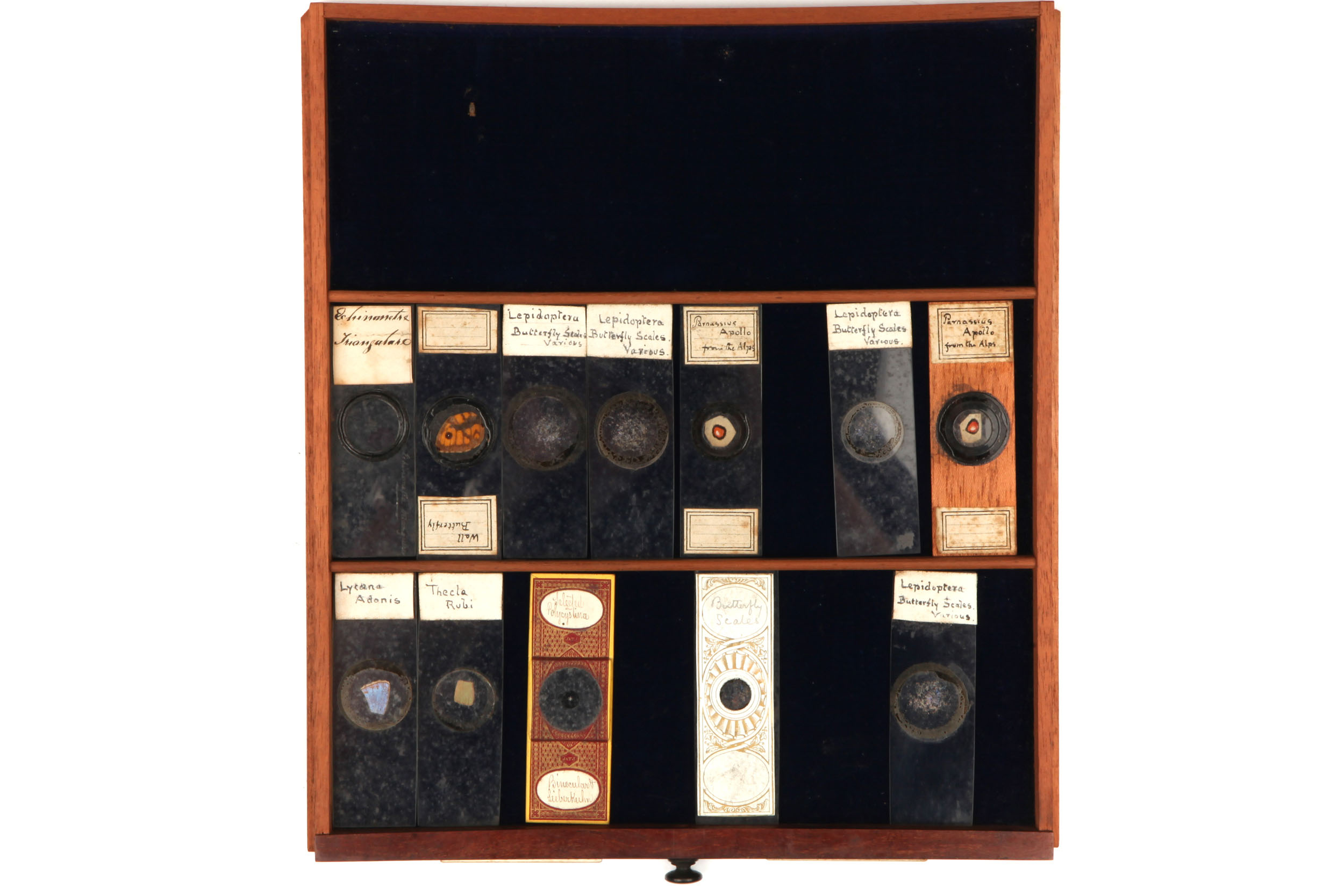 Large Cabinet of Microscope slides, - Image 3 of 12