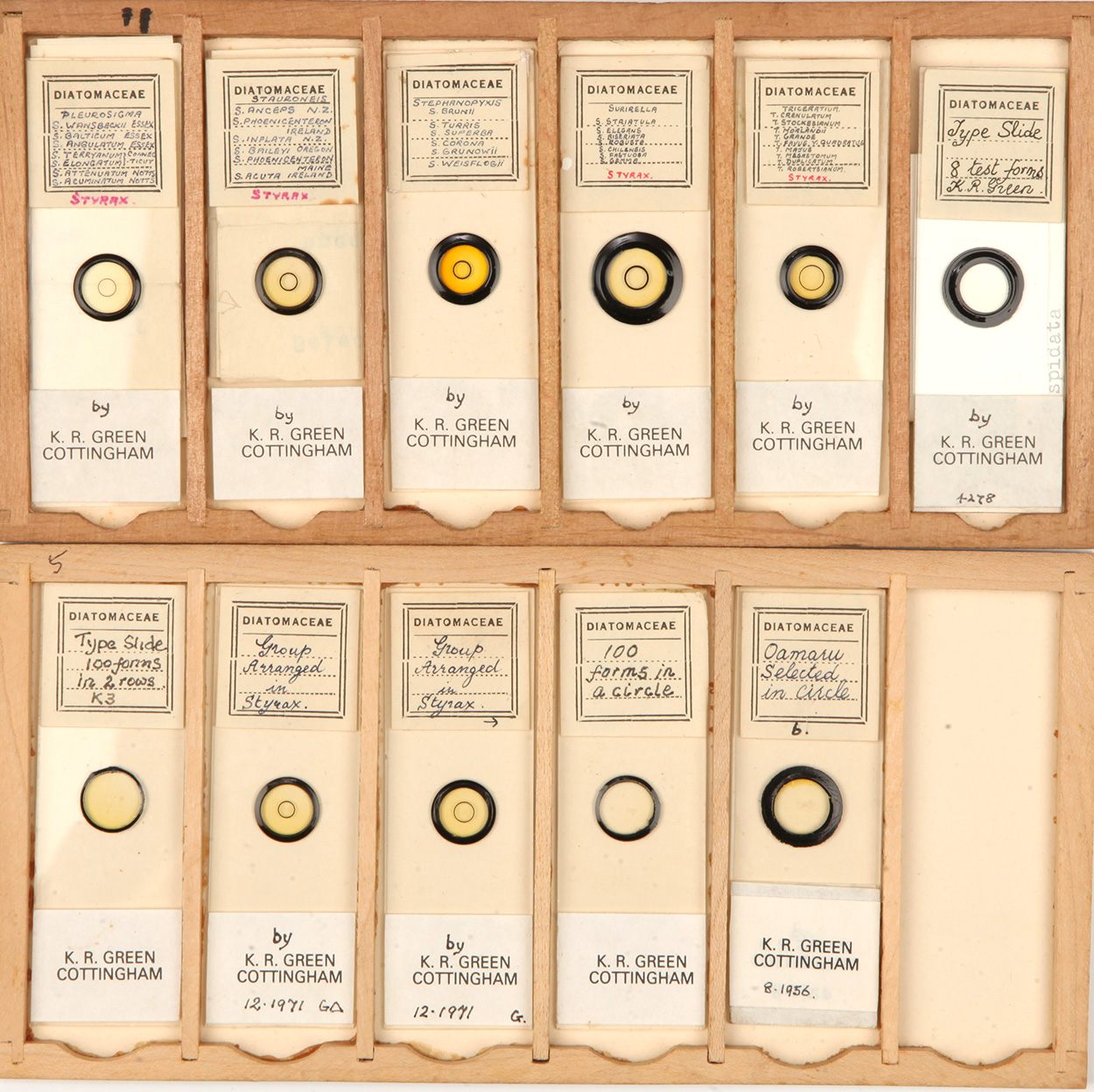 A Very Good Collection of Arranged and Exhibition Diatom Microscope Slides, - Image 2 of 7