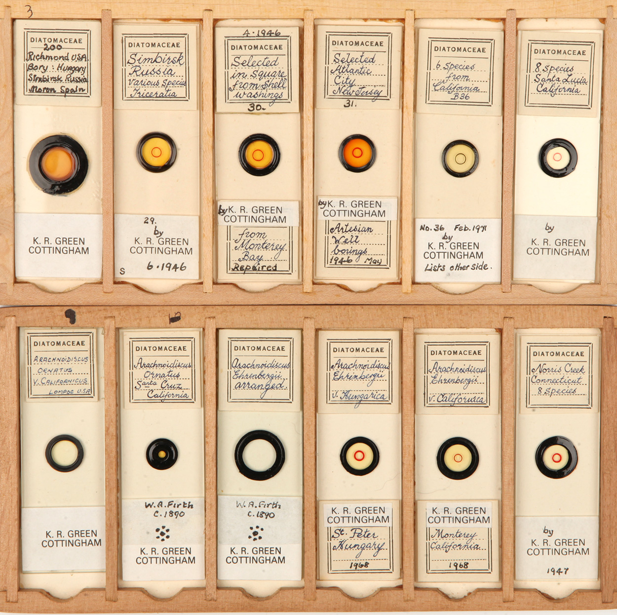 A Very Good Collection of Arranged and Exhibition Diatom Microscope Slides, - Image 5 of 7