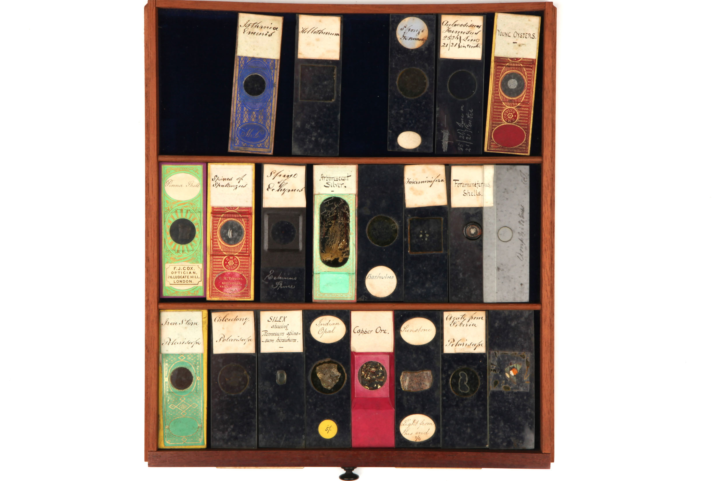 Large Cabinet of Microscope slides, - Image 10 of 12