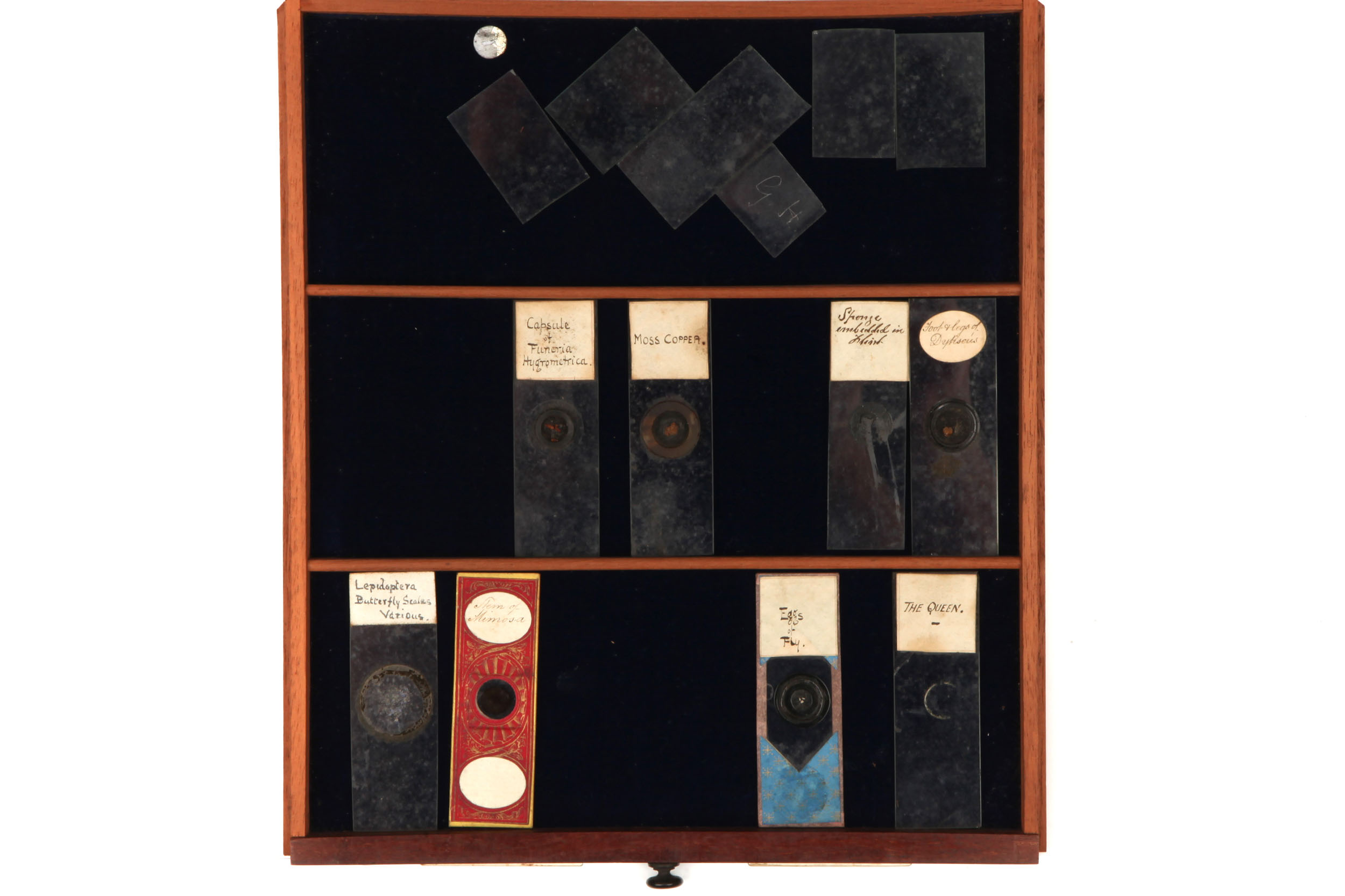 Large Cabinet of Microscope slides, - Image 2 of 12