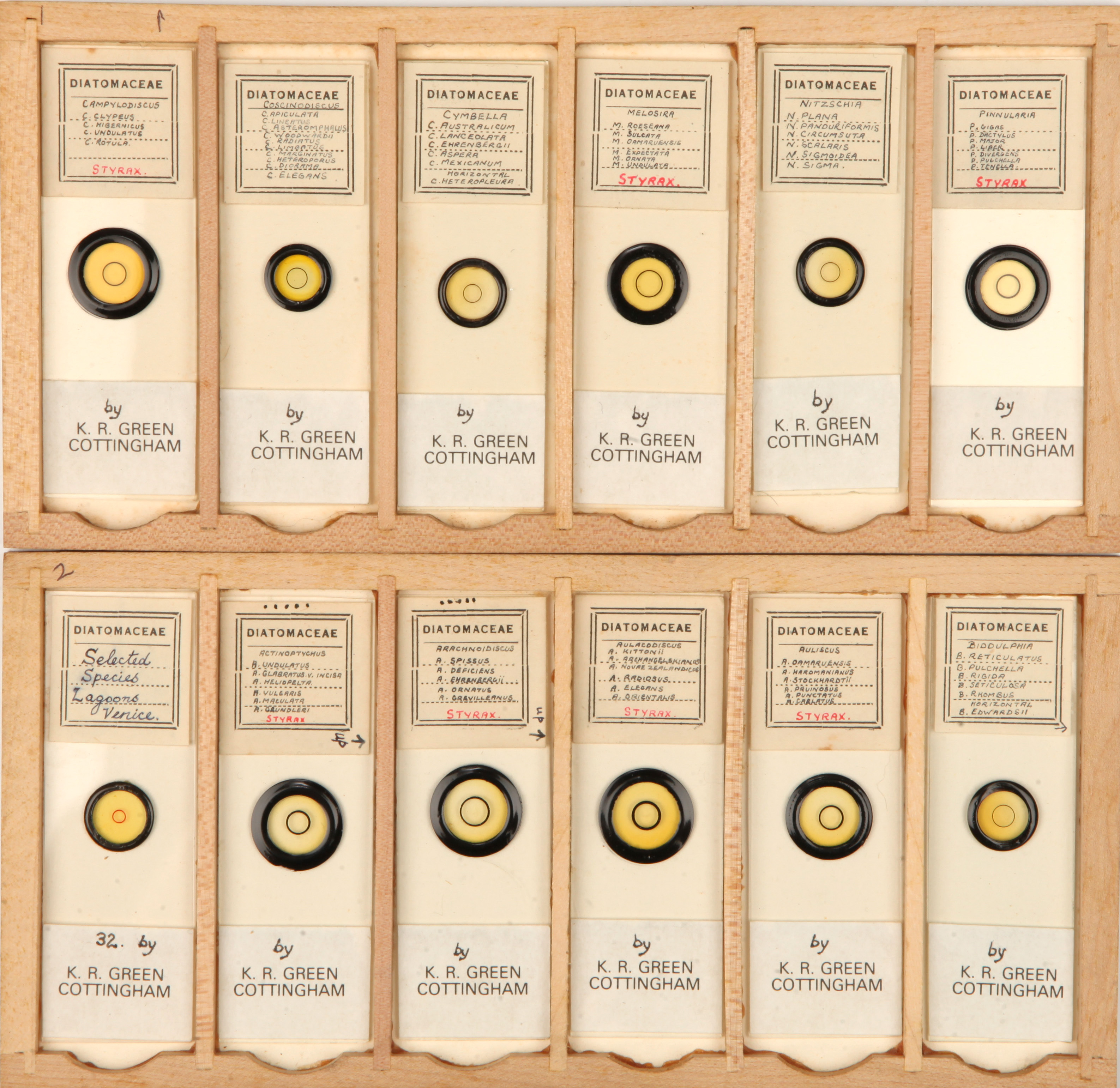 A Very Good Collection of Arranged and Exhibition Diatom Microscope Slides, - Image 3 of 7