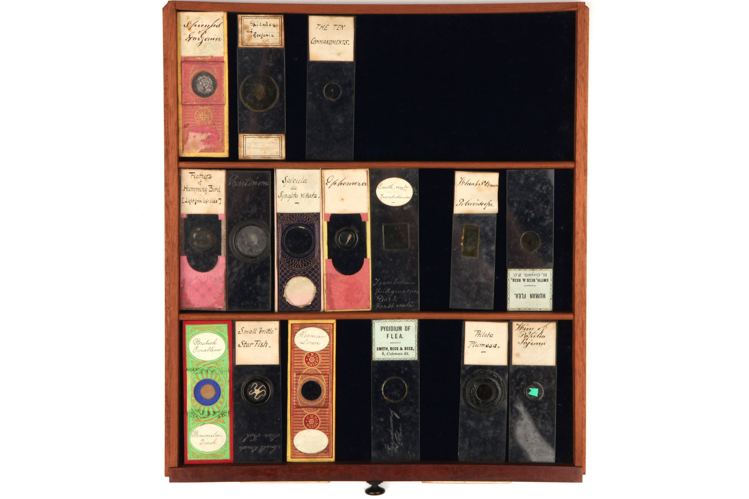 Large Cabinet of Microscope slides, - Image 4 of 12