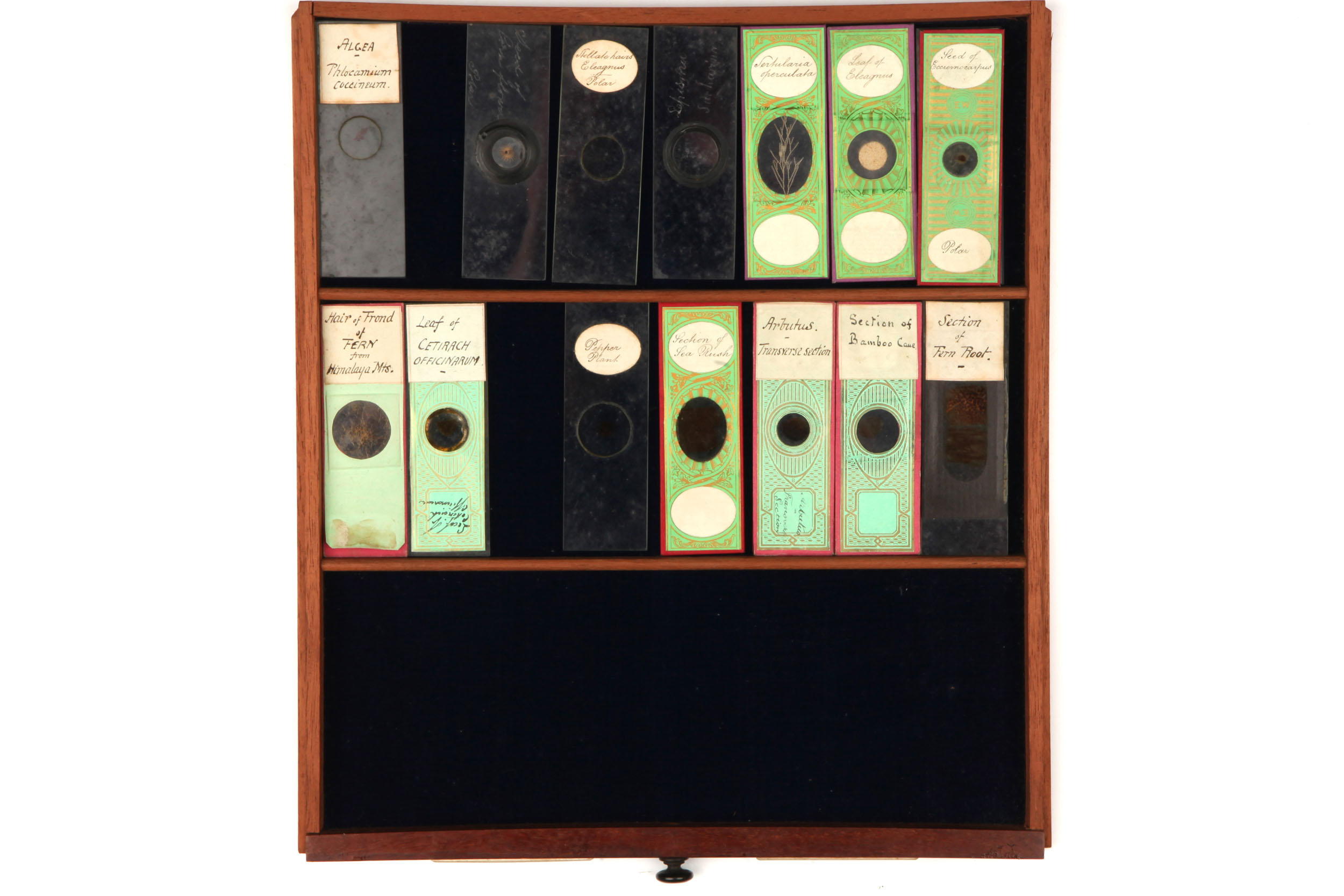 Large Cabinet of Microscope slides, - Image 6 of 12