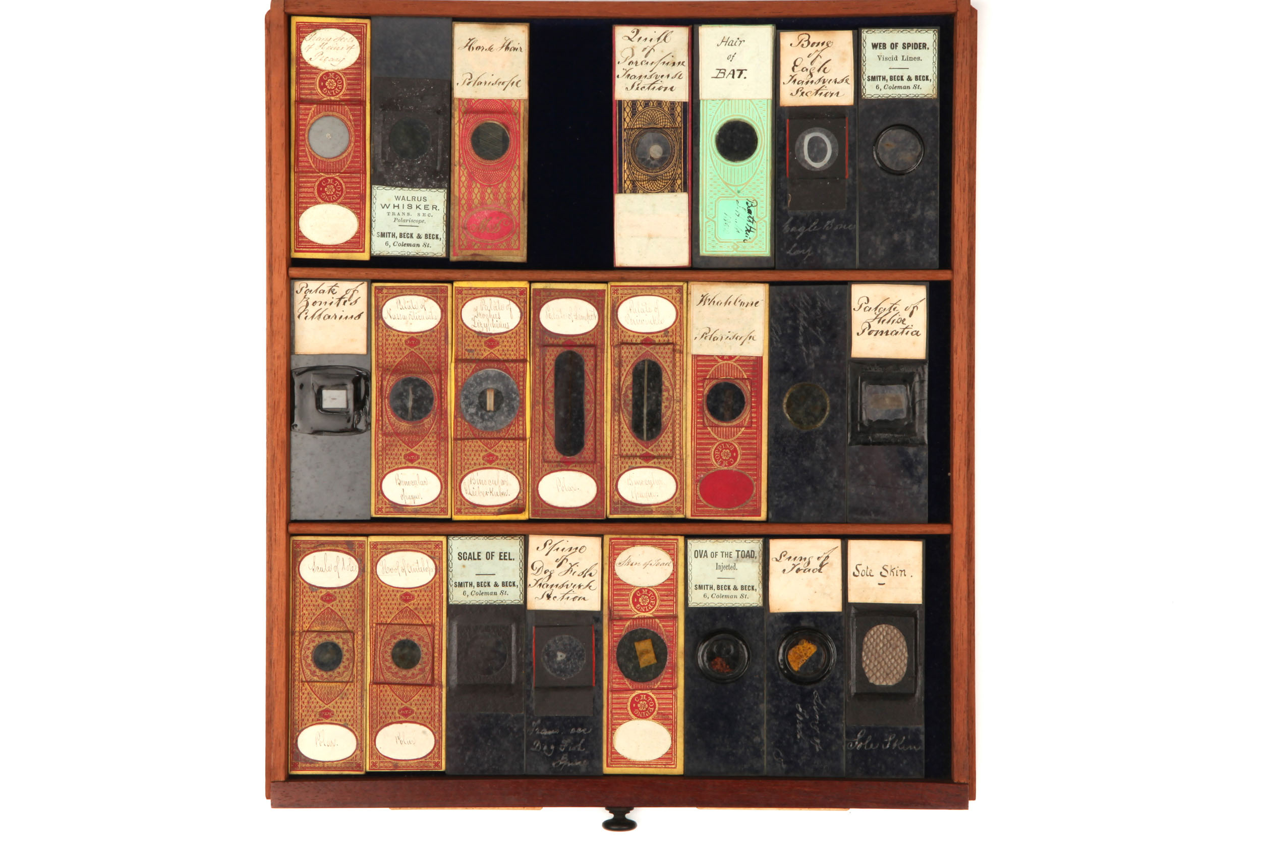 Large Cabinet of Microscope slides, - Image 12 of 12