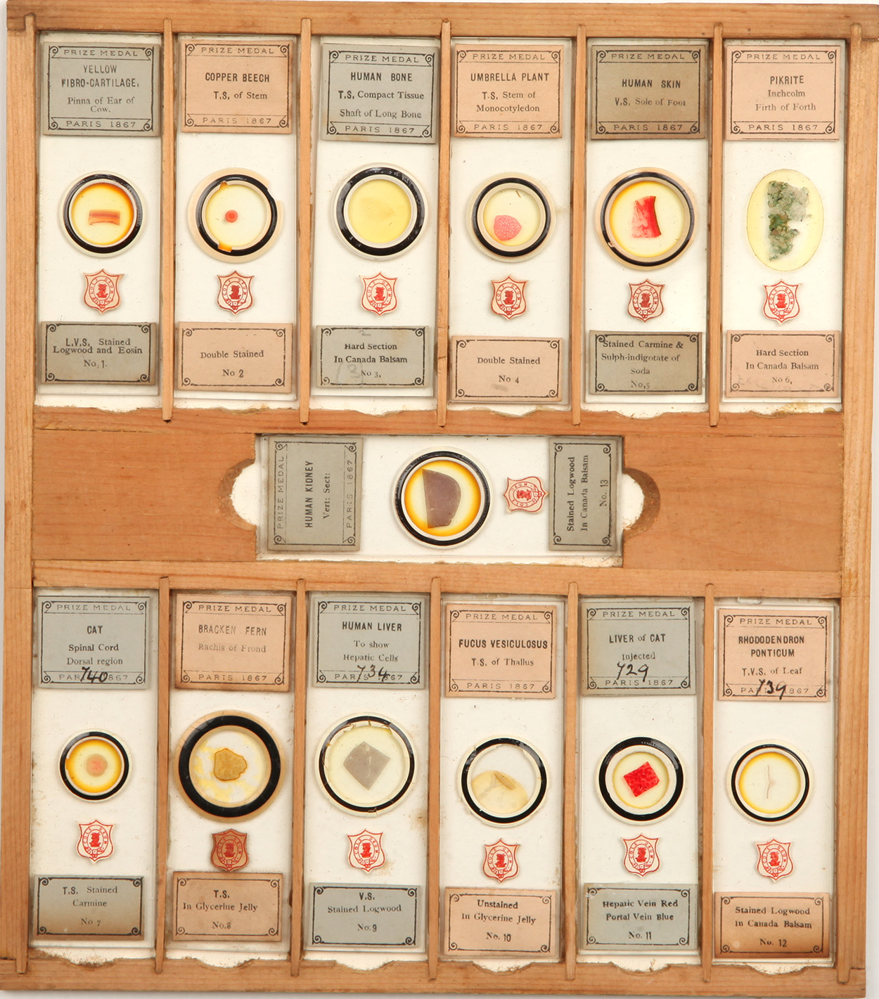 A Complete Numbered Set of Cole Microscope Slides,