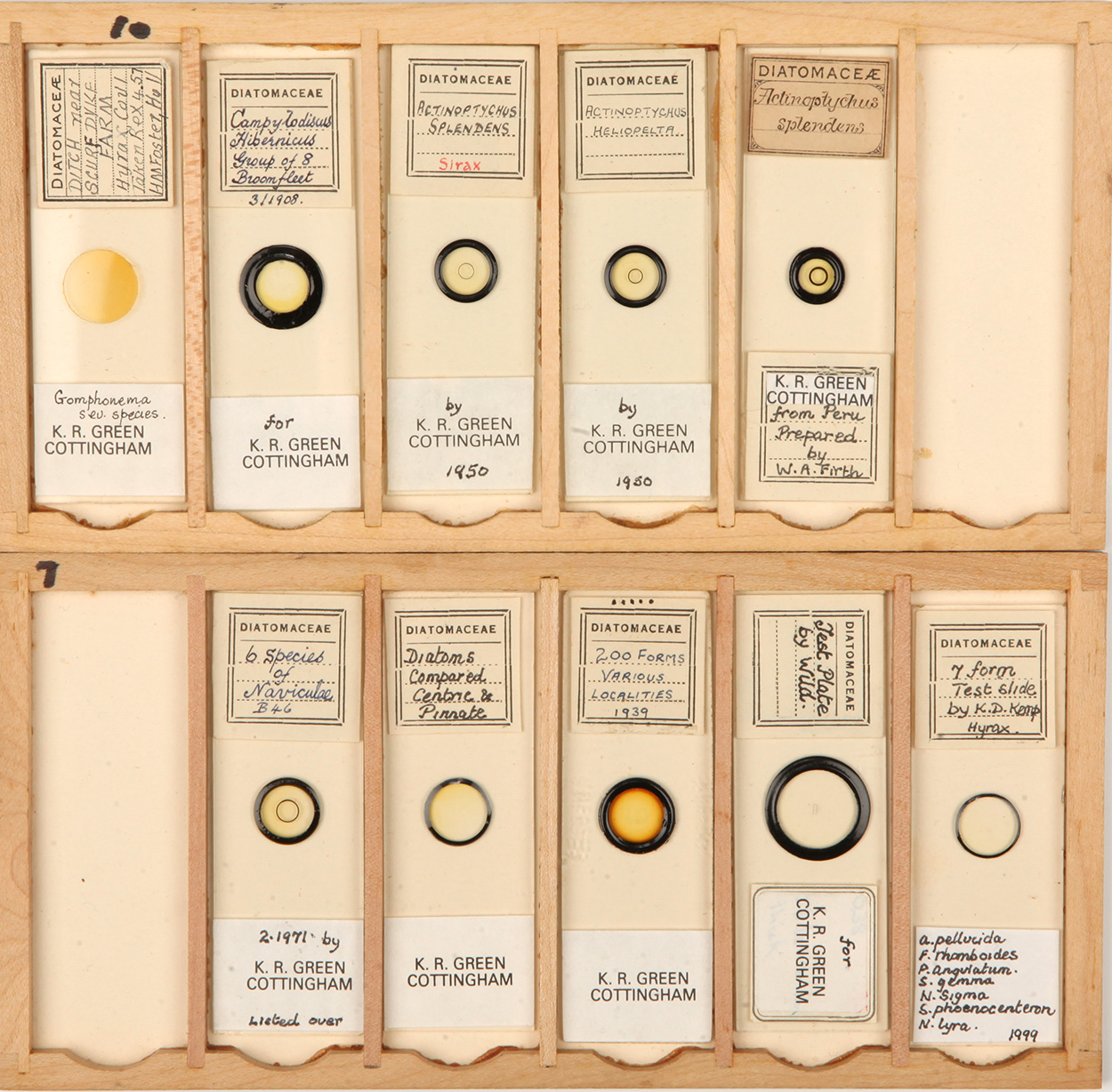 A Very Good Collection of Arranged and Exhibition Diatom Microscope Slides, - Image 7 of 7