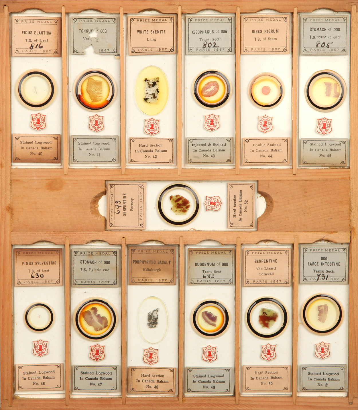 A Complete Numbered Set of Cole Microscope Slides, - Image 5 of 5