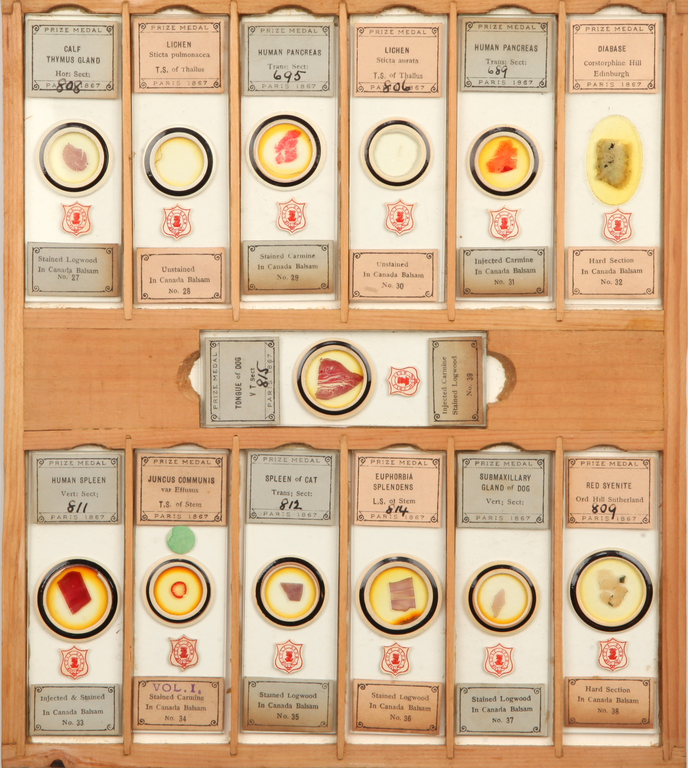 A Complete Numbered Set of Cole Microscope Slides, - Image 3 of 5