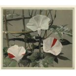 OGAWA KAZUMASA (att) (1860-1929), Convulvulus,