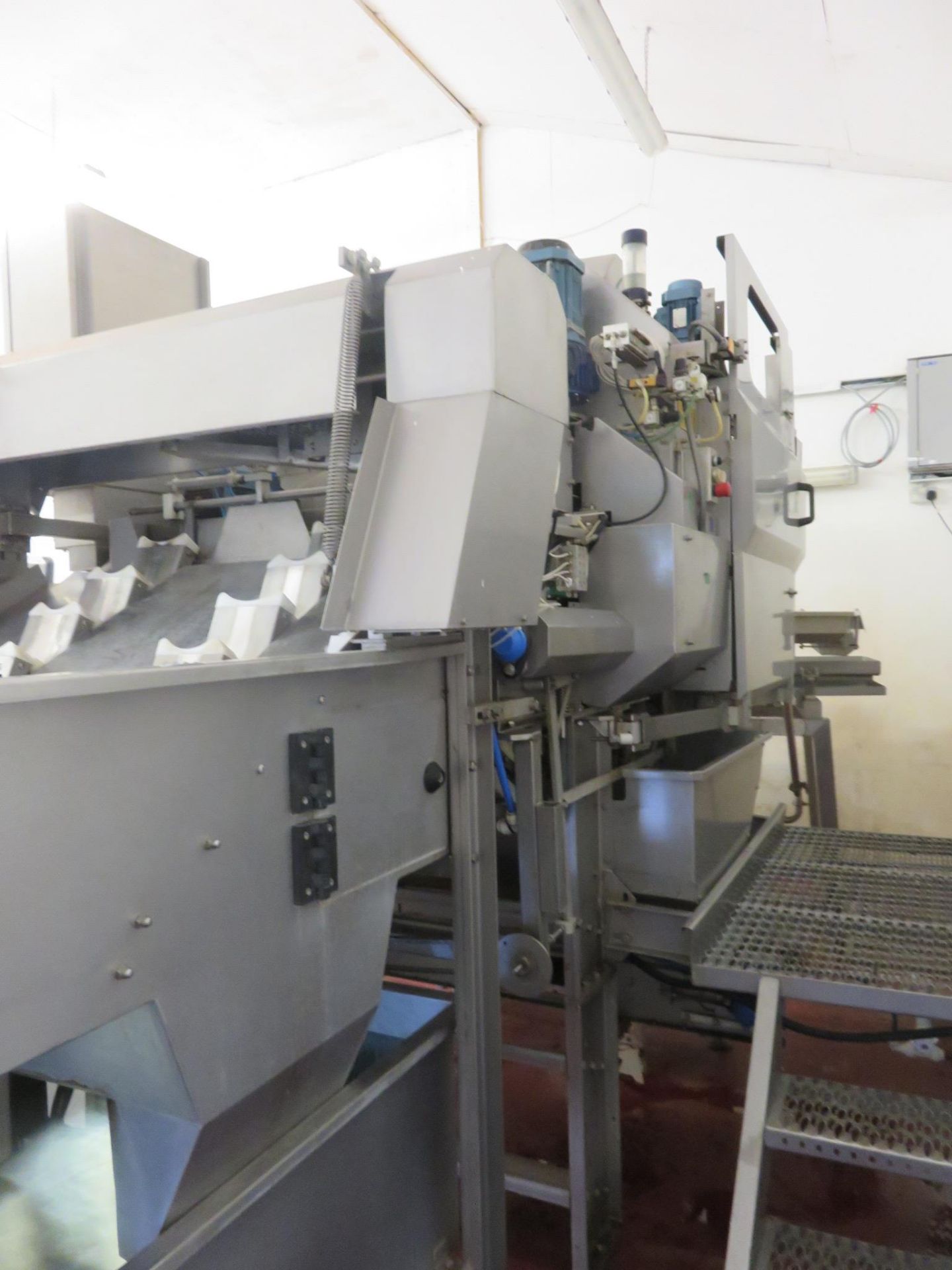 A complete ABL Apple & Slicing Line. Comprising of: Tank infeed system Model SHFL100 - Image 14 of 23