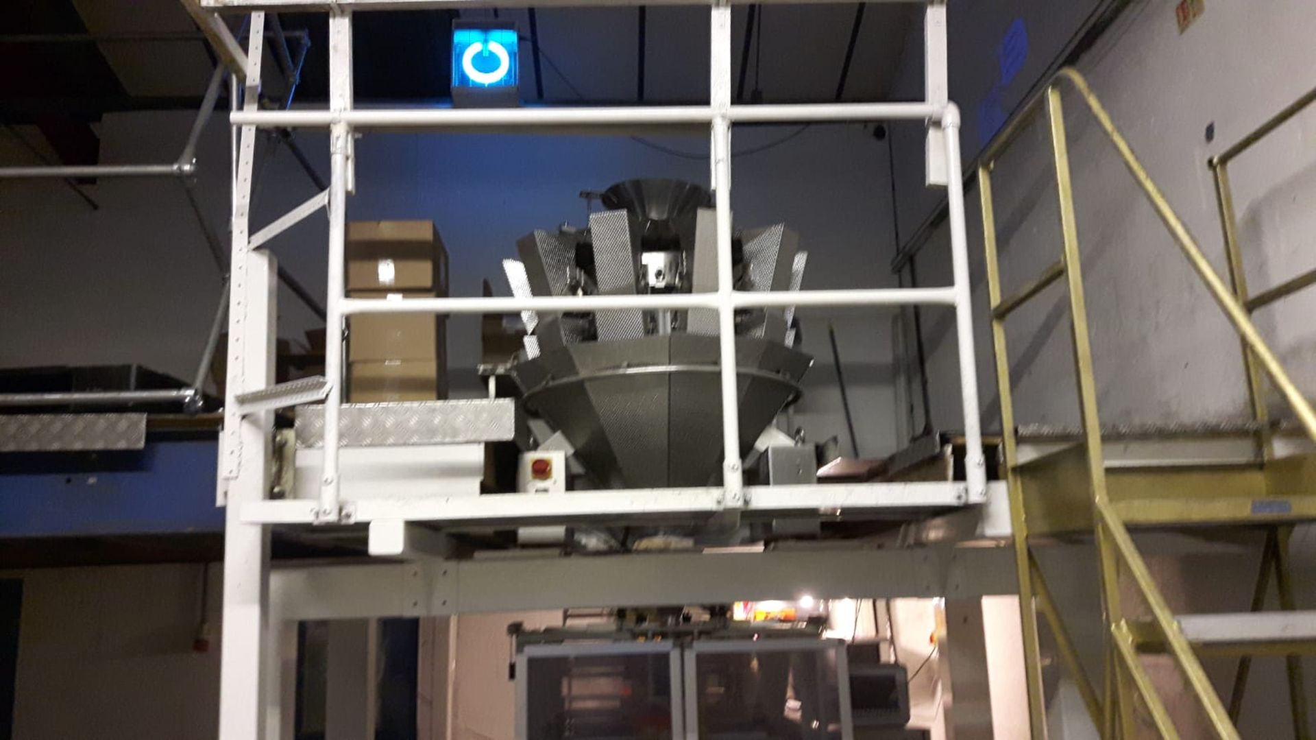 Complete Packing Line, 10 head weigher and Bagger