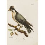 Birds.- Levaillant (François) Histoire Naturelle des Oiseaux d'Afrique, 1 vol. only (of 6), 4to, …