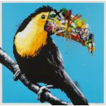 Martin Whatson (b. 1984) Toucan