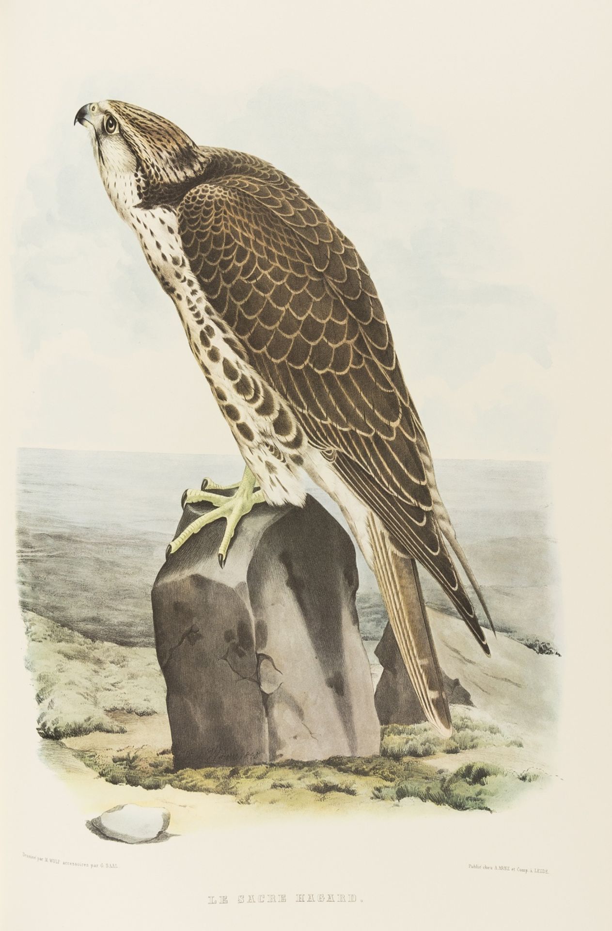 Birds.- Falcons.- Schlegel (Hermann) Traité de Fauconnerie, limited edition numbered 9 of 270 …