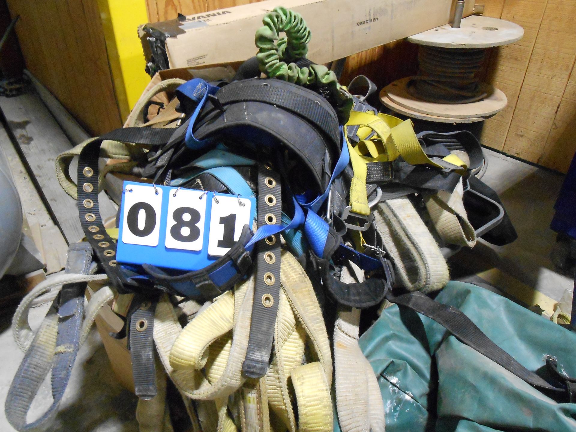 Large Lot: Rope Safety Harness