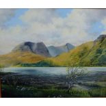 T. Goodall 'Island Loch Scene' Oil-on-Board, signed and dated '79, framed, 60 x 50cm