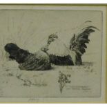 James Robert Granville, Exley 'Contentment Grey Japanese Bantam's' Framed etched print, 15 x 13cm