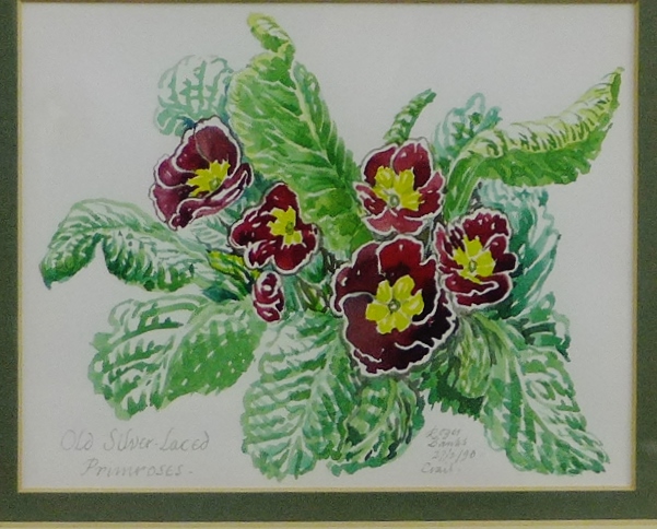 Rodger Banks 'Old Silver - Laced Primroses' Watercolour, signed and dated 27/02/90, in a glazed